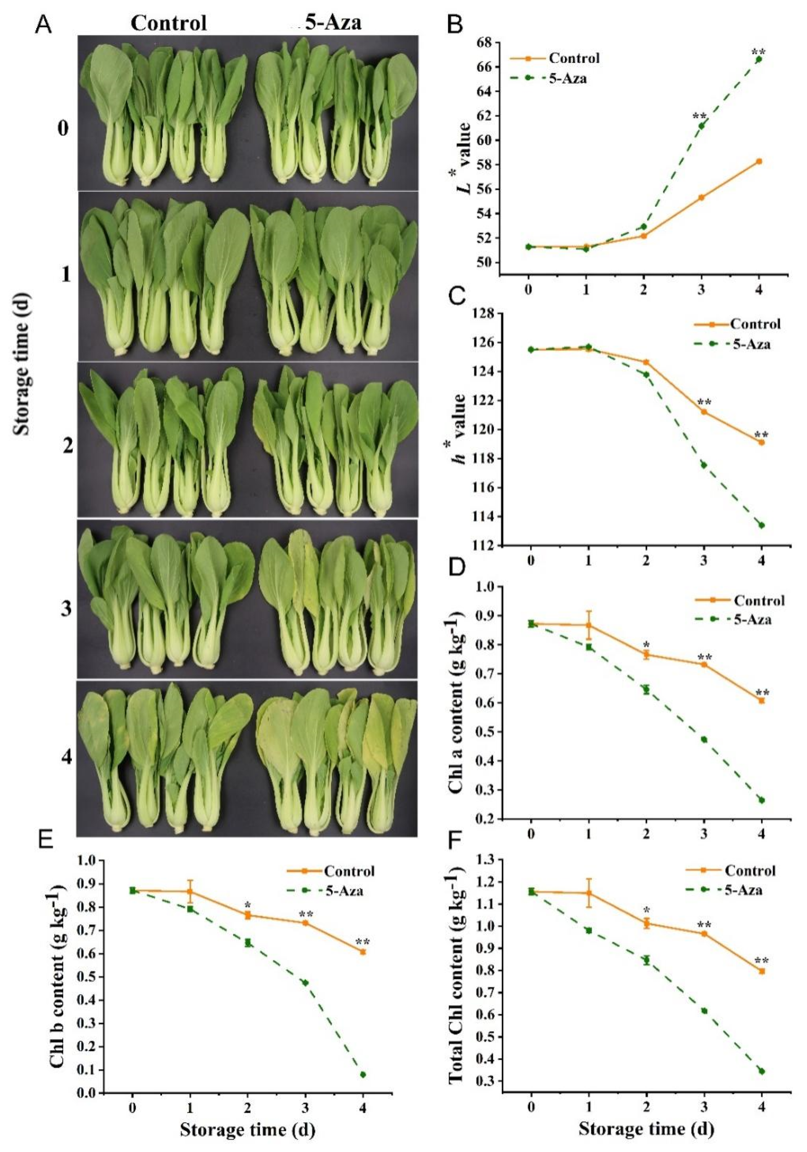 Agronomy 12 02568 g003 Agronomy 12 02568 g003