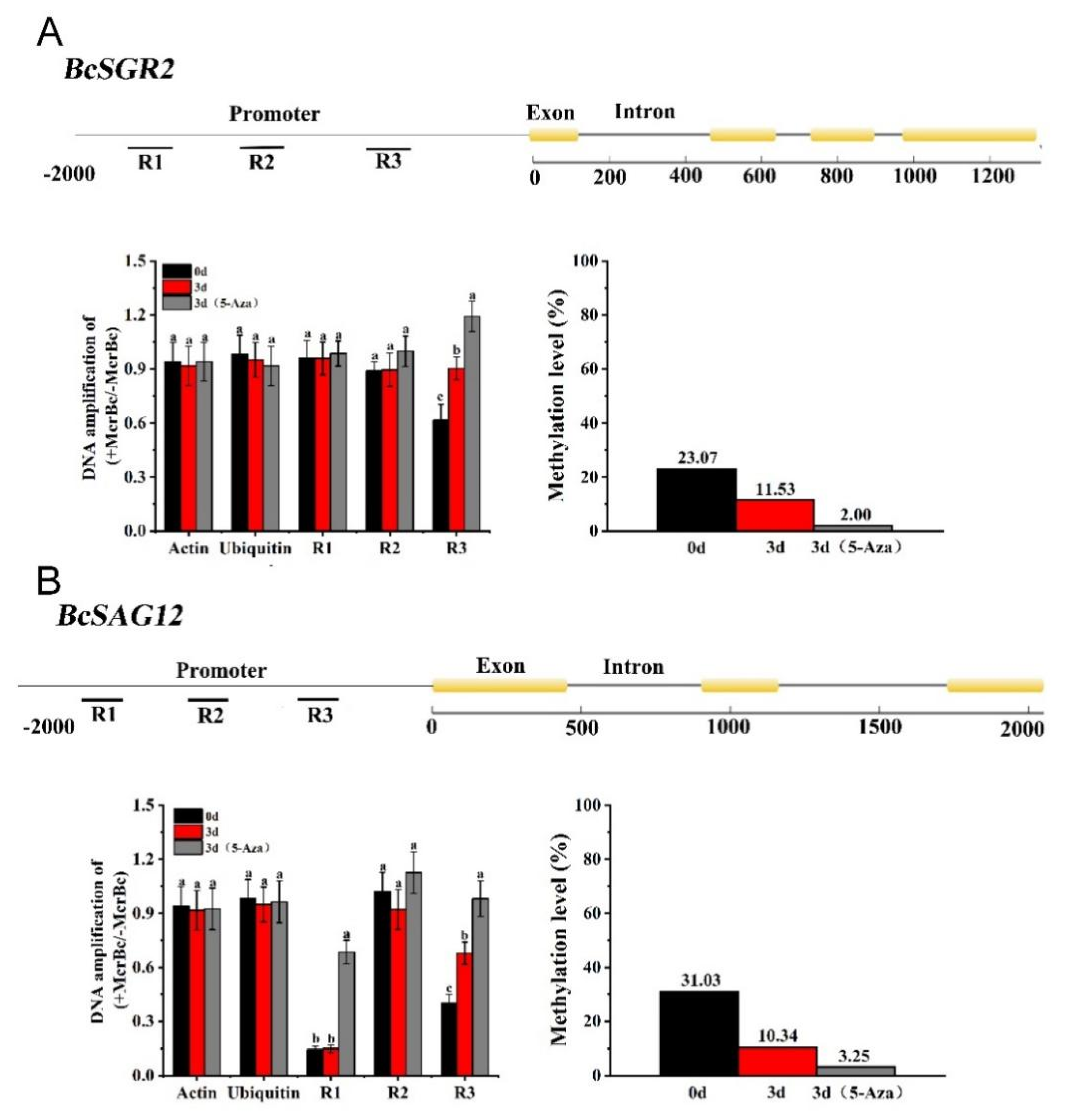 Agronomy 12 02568 g007 Agronomy 12 02568 g007