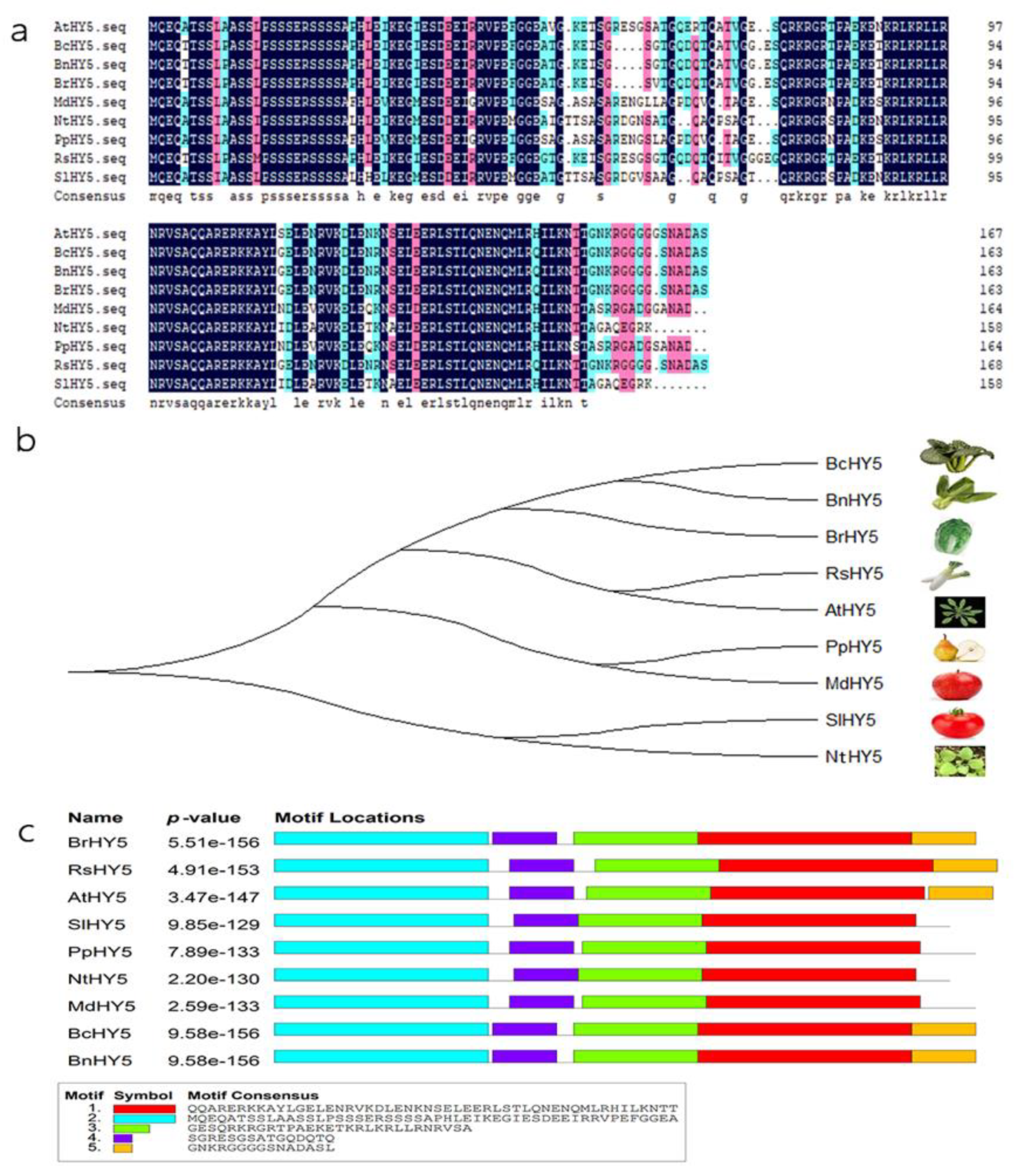 Agronomy 12 02573 g001 Agronomy 12 02573 g001