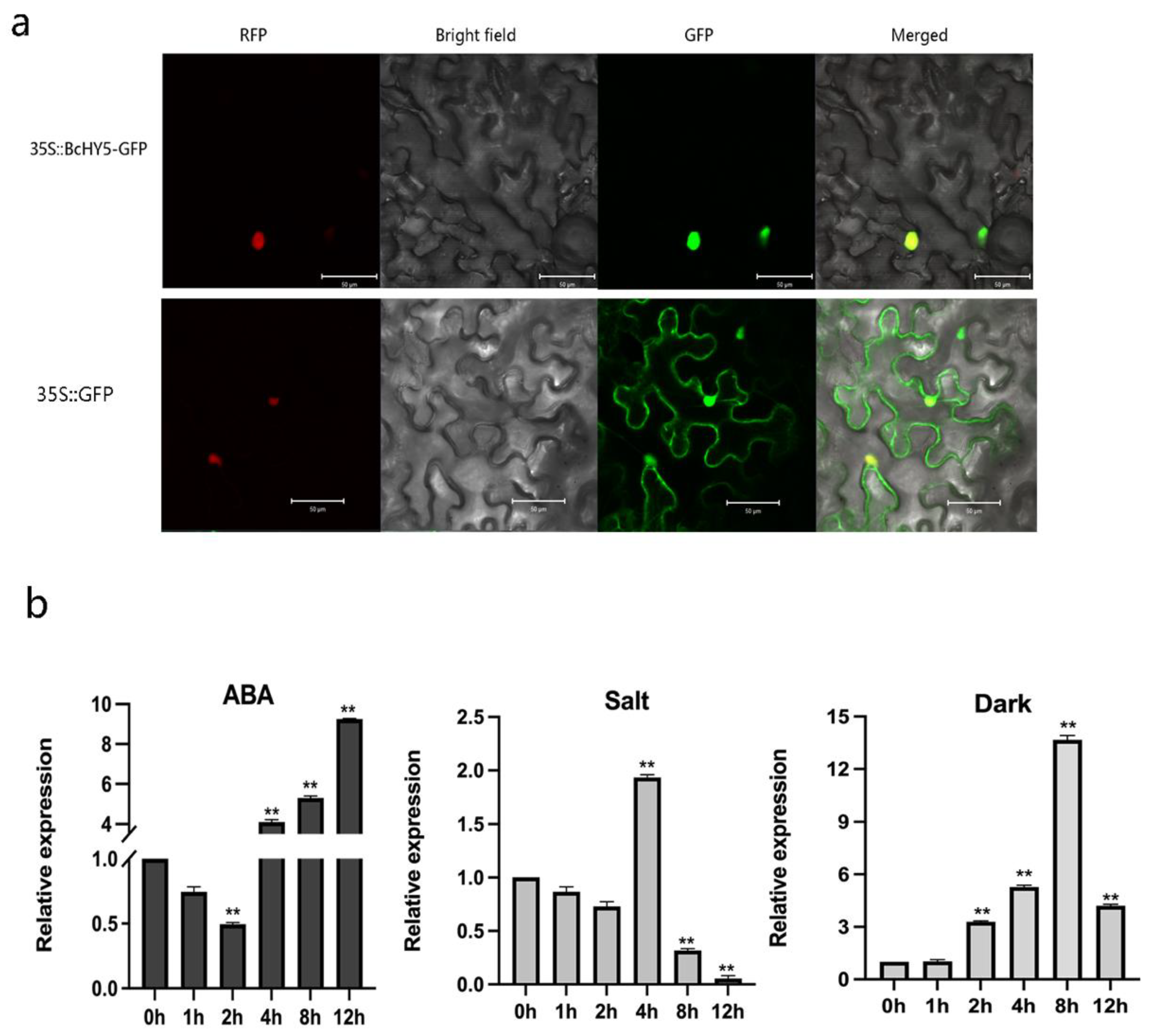 Agronomy 12 02573 g002 Agronomy 12 02573 g002