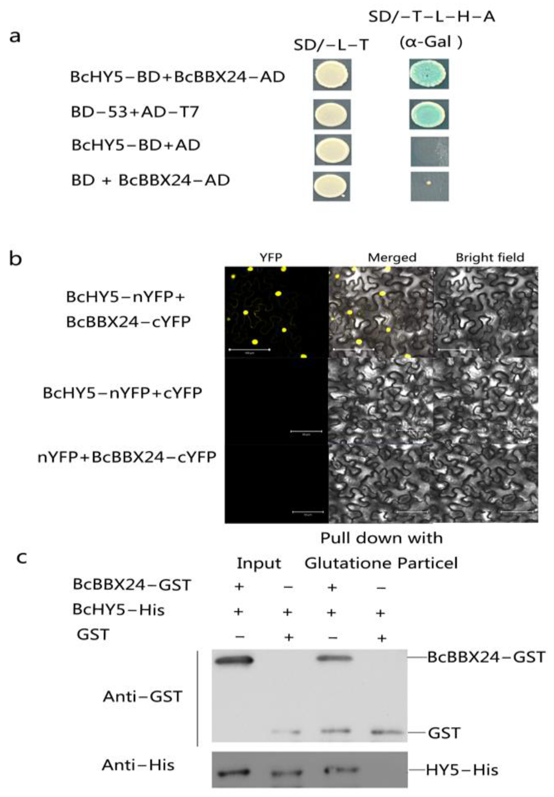 Agronomy 12 02573 g004 Agronomy 12 02573 g004