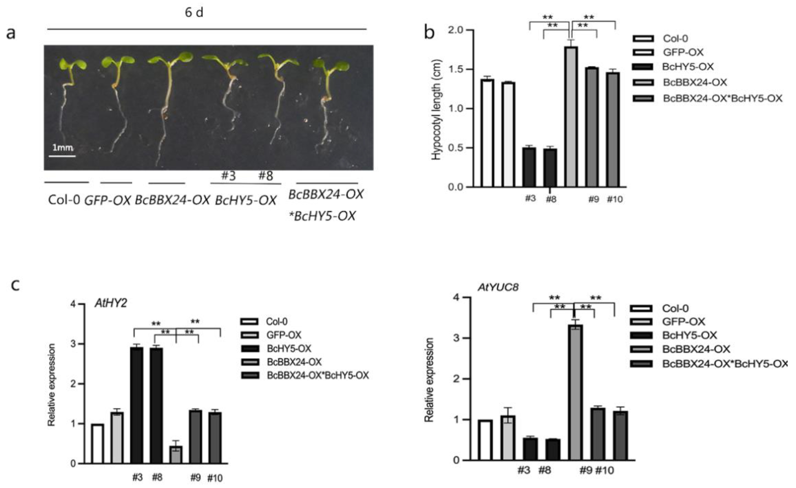 Agronomy 12 02573 g005 Agronomy 12 02573 g005
