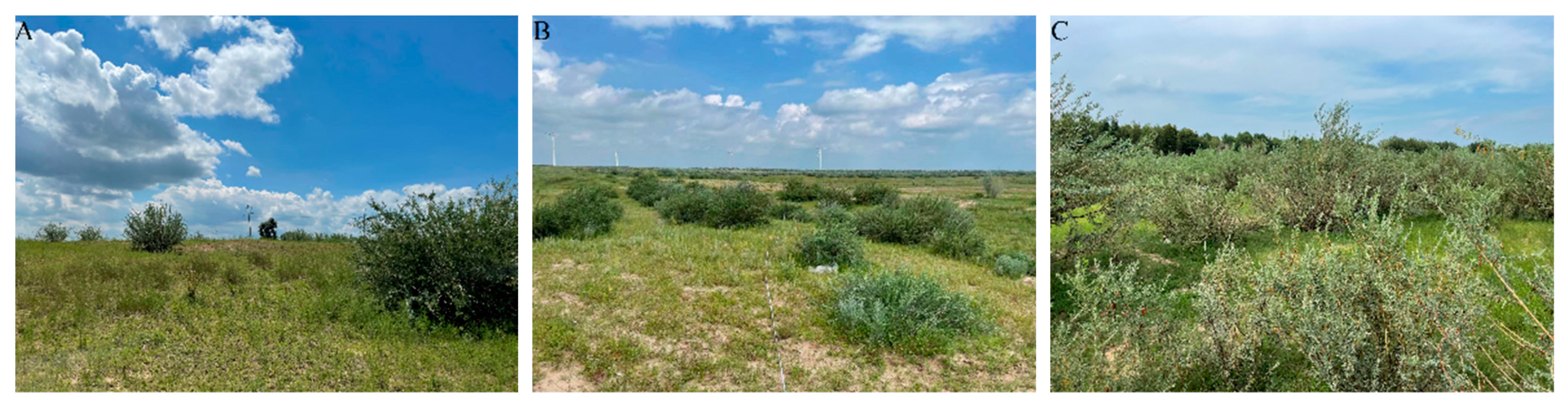 Agronomy 12 02575 g002