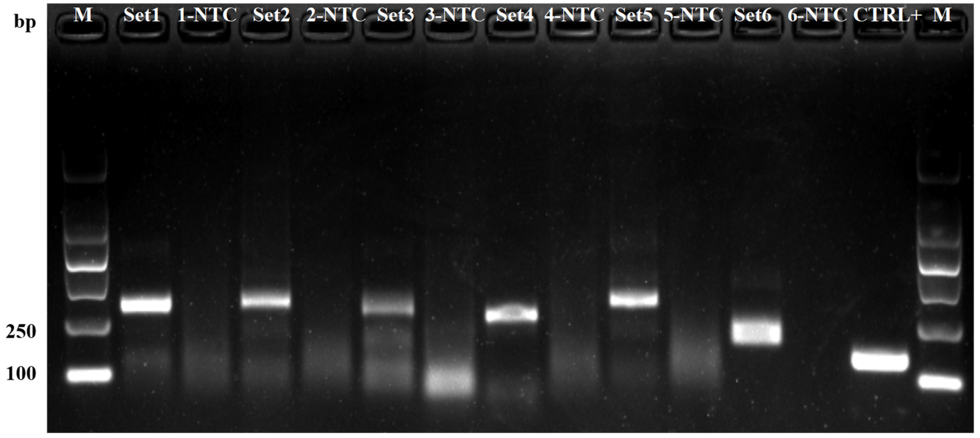 Agronomy 12 02580 g001 Agronomy 12 02580 g001