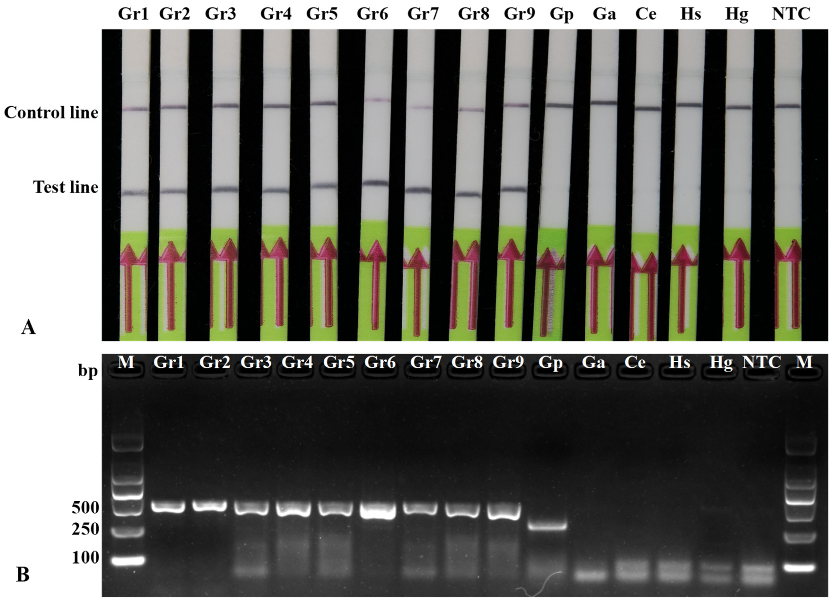Agronomy 12 02580 g003 Agronomy 12 02580 g003