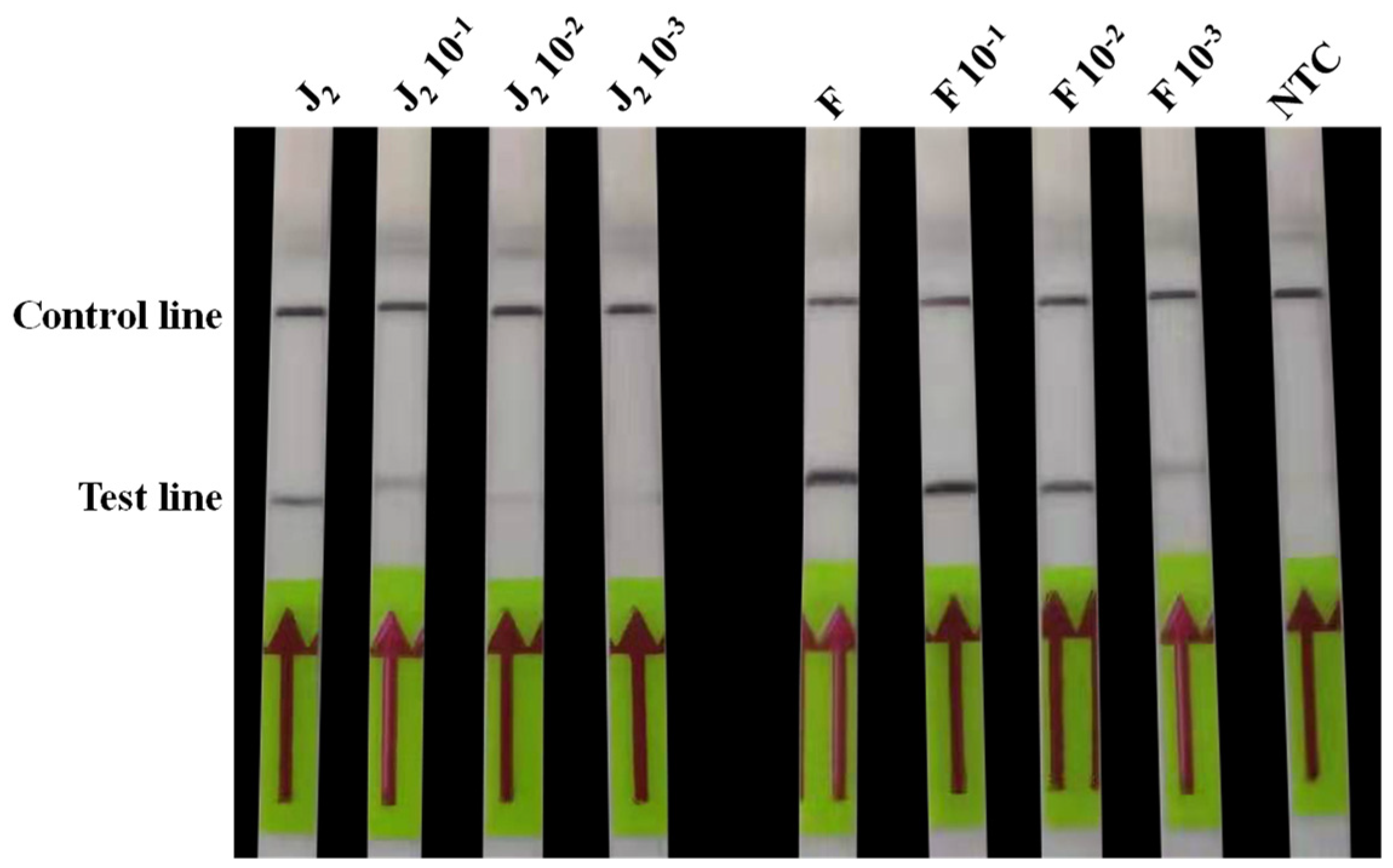 Agronomy 12 02580 g004 Agronomy 12 02580 g004