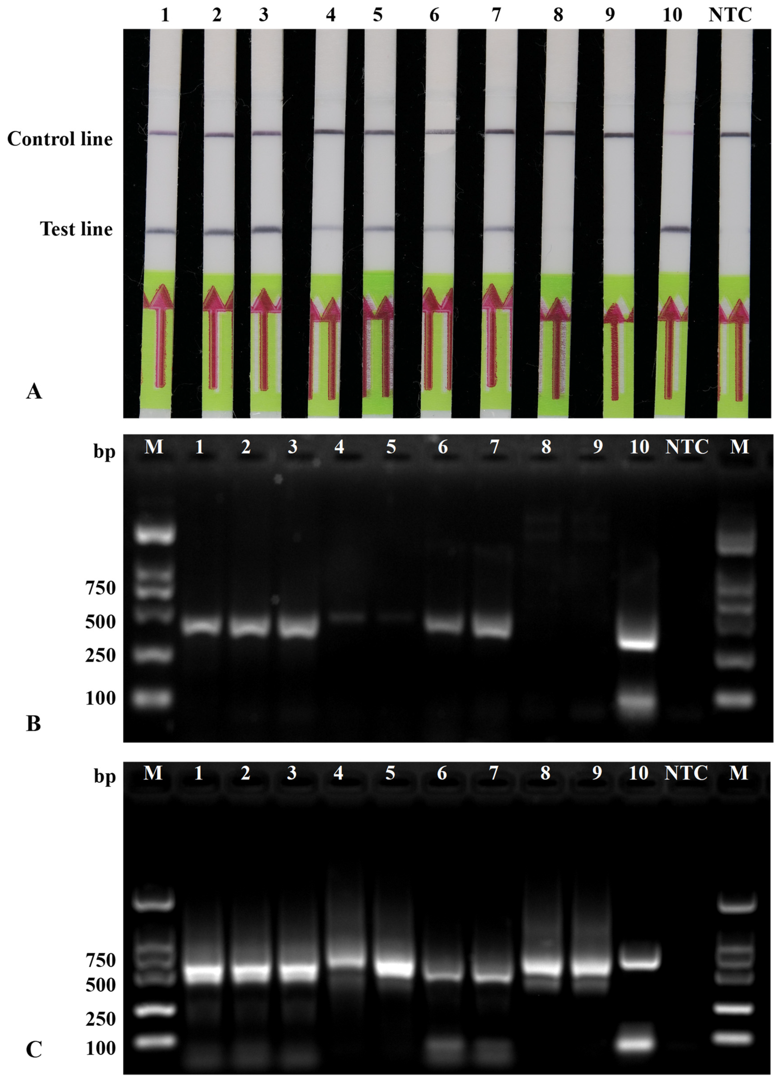Agronomy 12 02580 g005 Agronomy 12 02580 g005