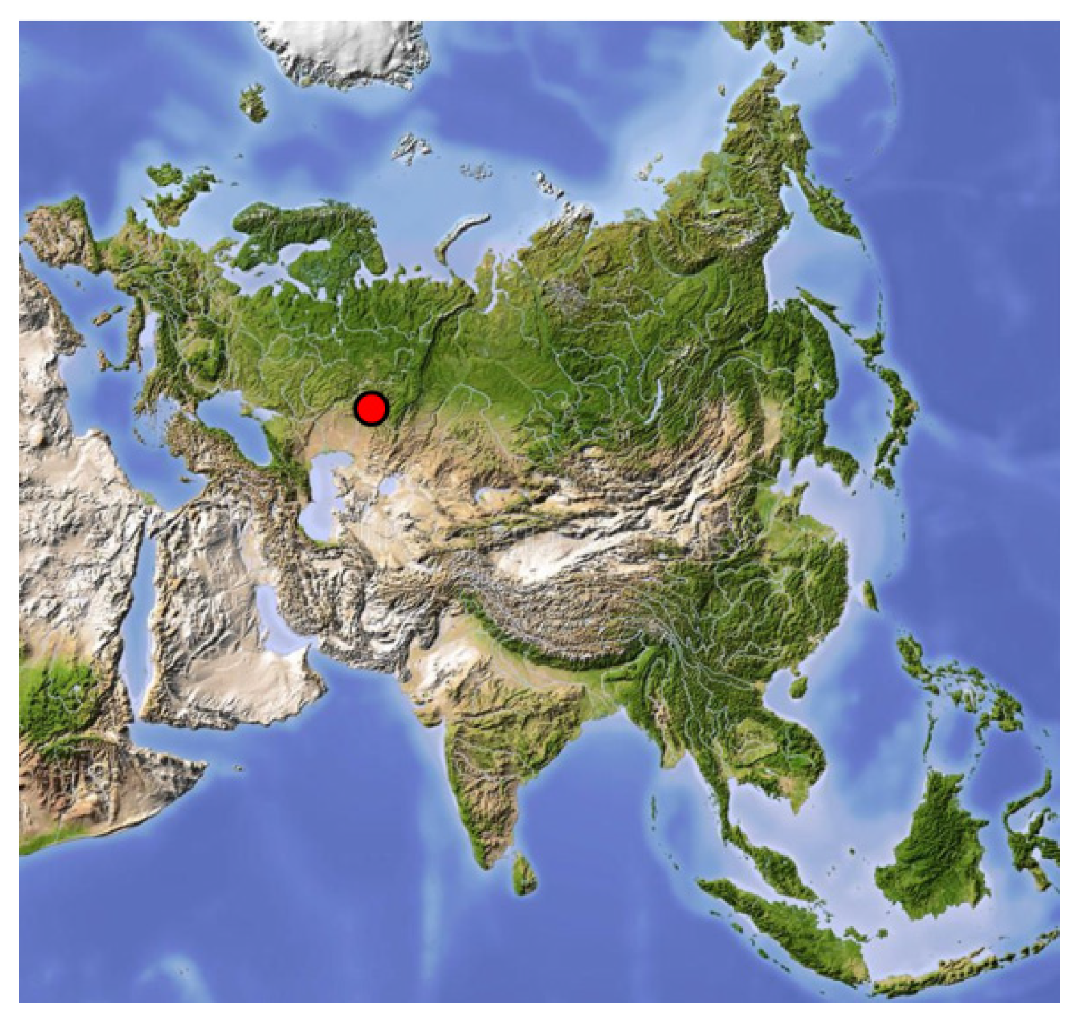 Agronomy 12 02594 g001