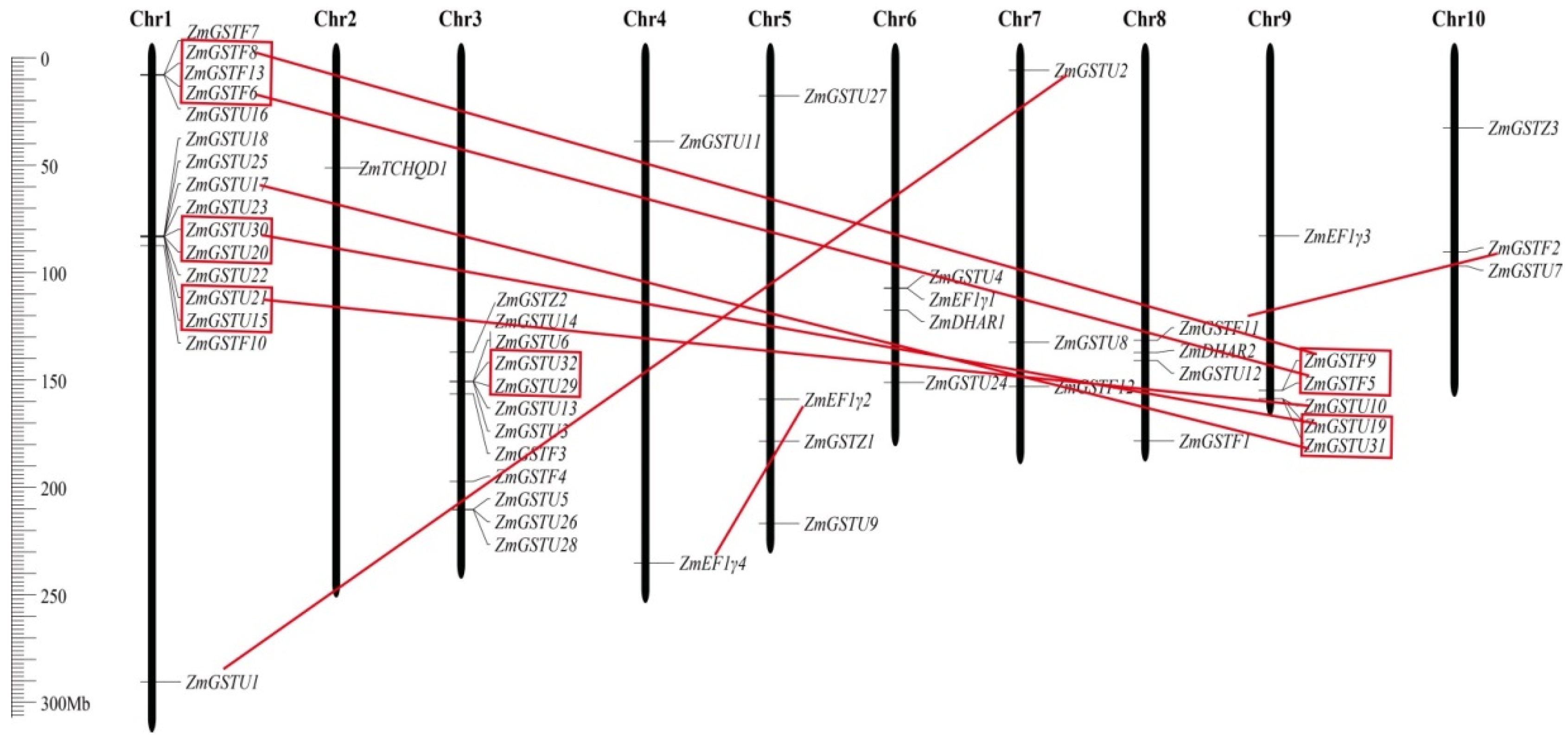 Agronomy 12 02598 g003