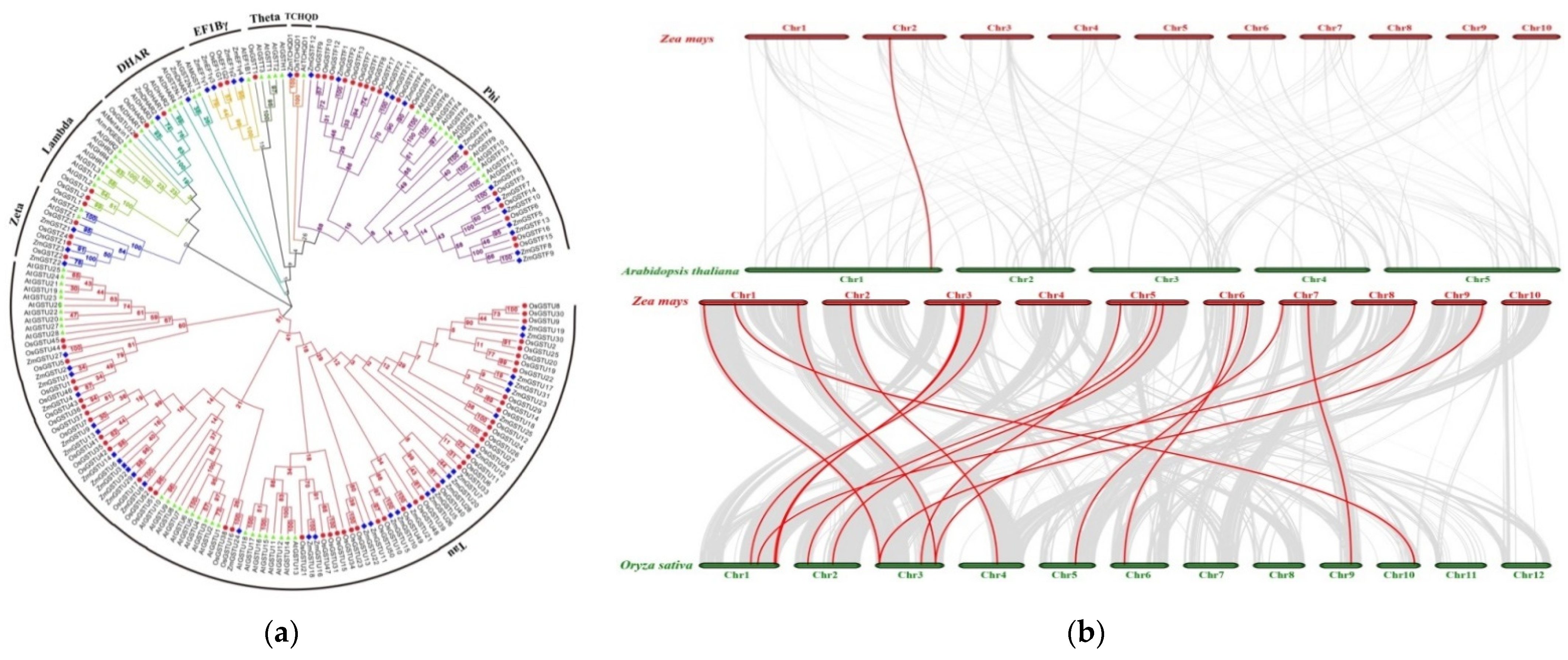Agronomy 12 02598 g004