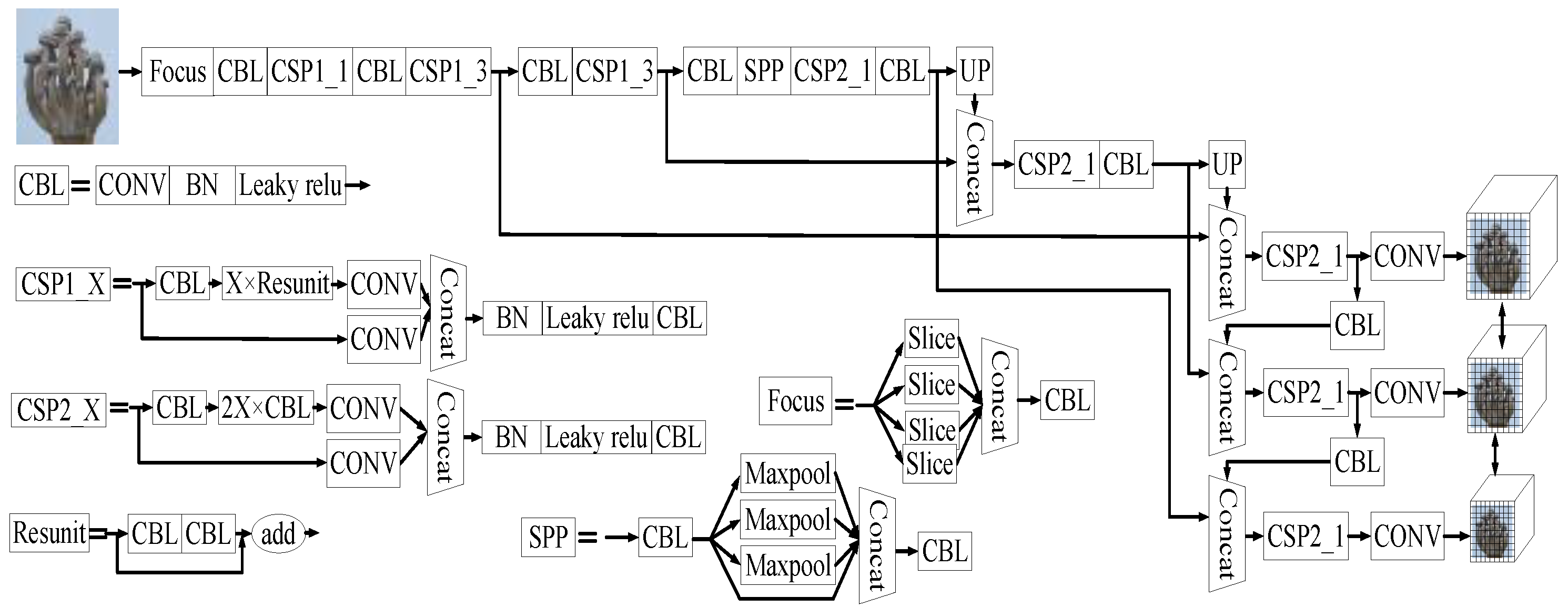 Agronomy 12 02601 g001