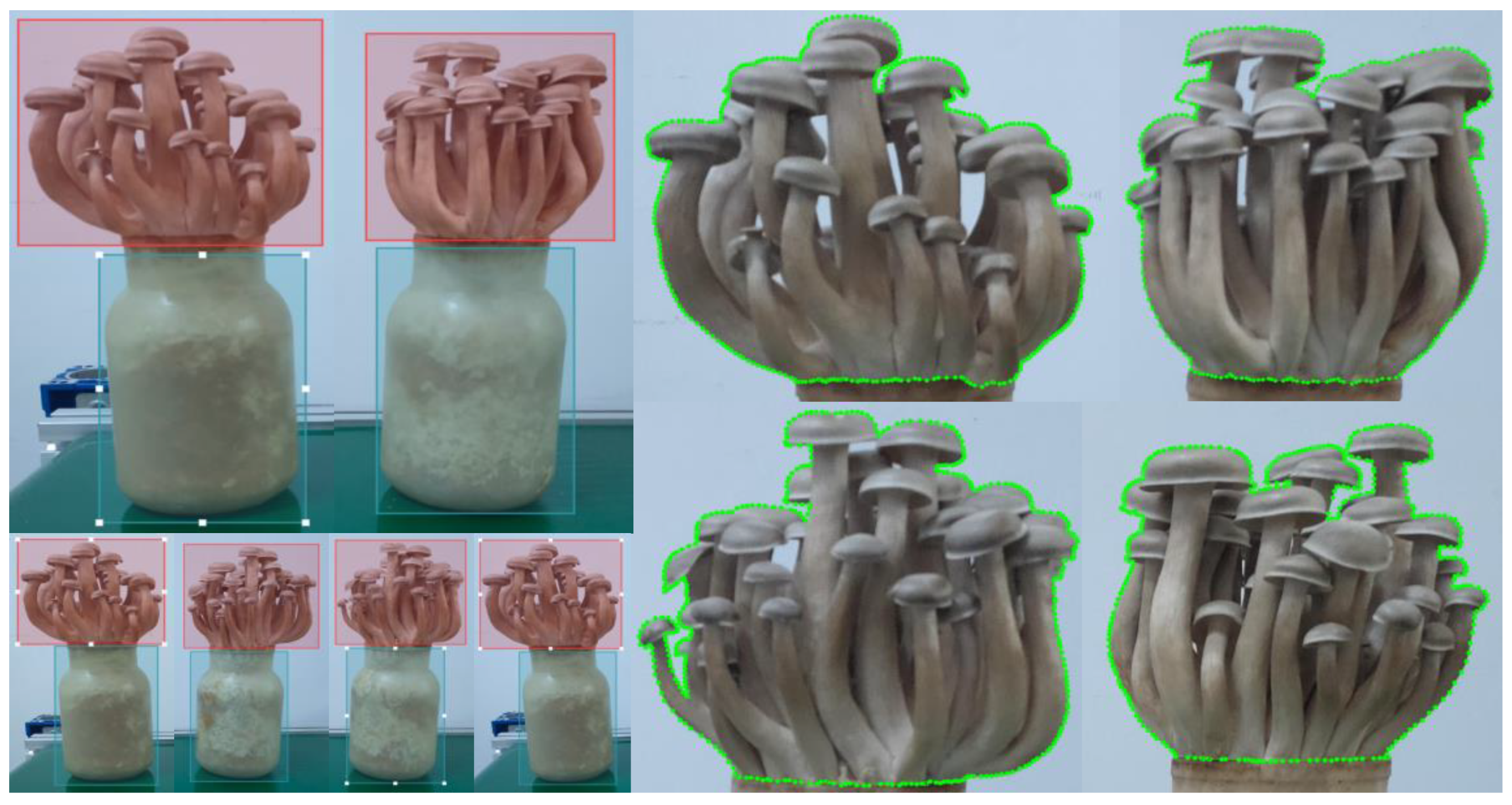 Agronomy 12 02601 g006