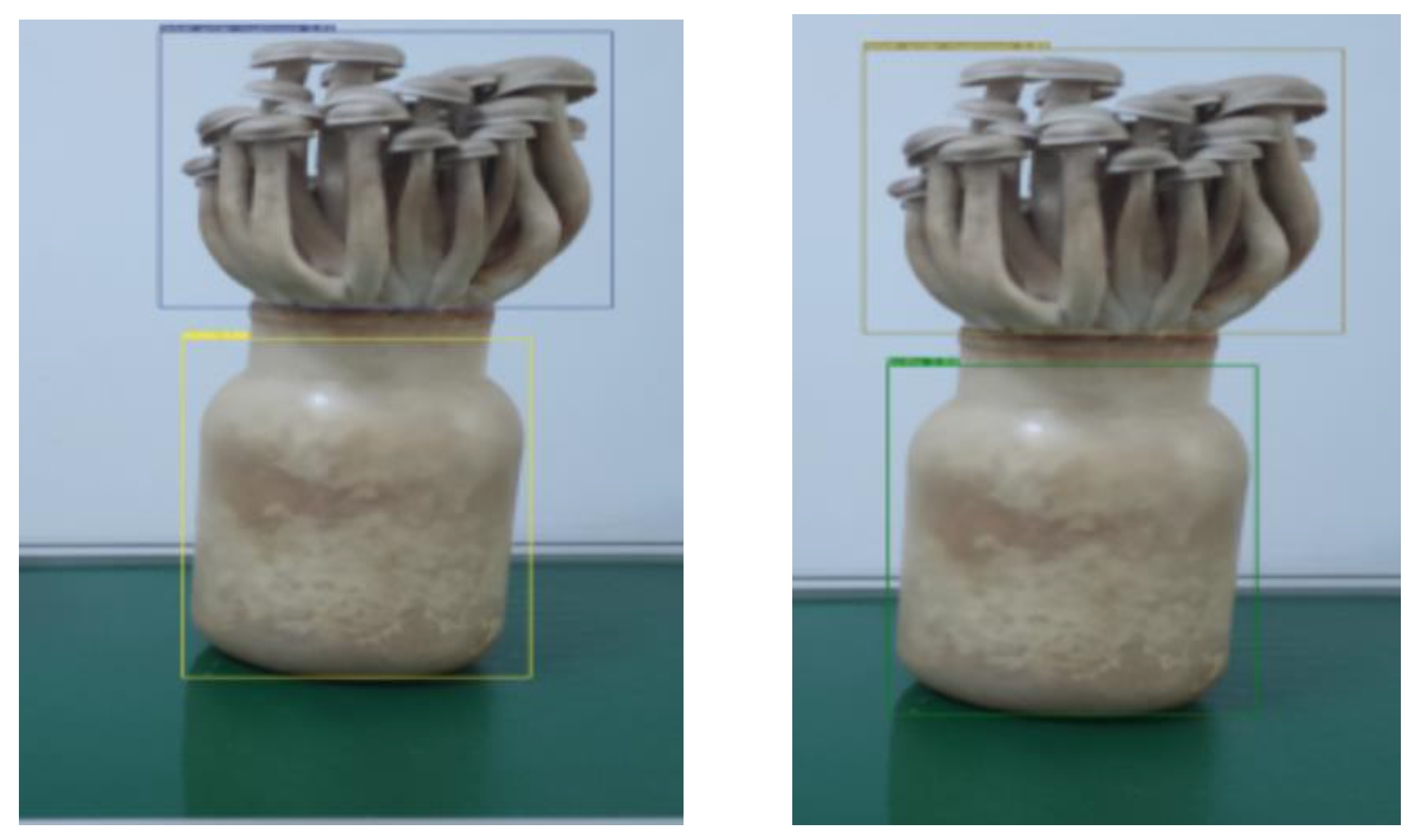 Agronomy 12 02601 g007