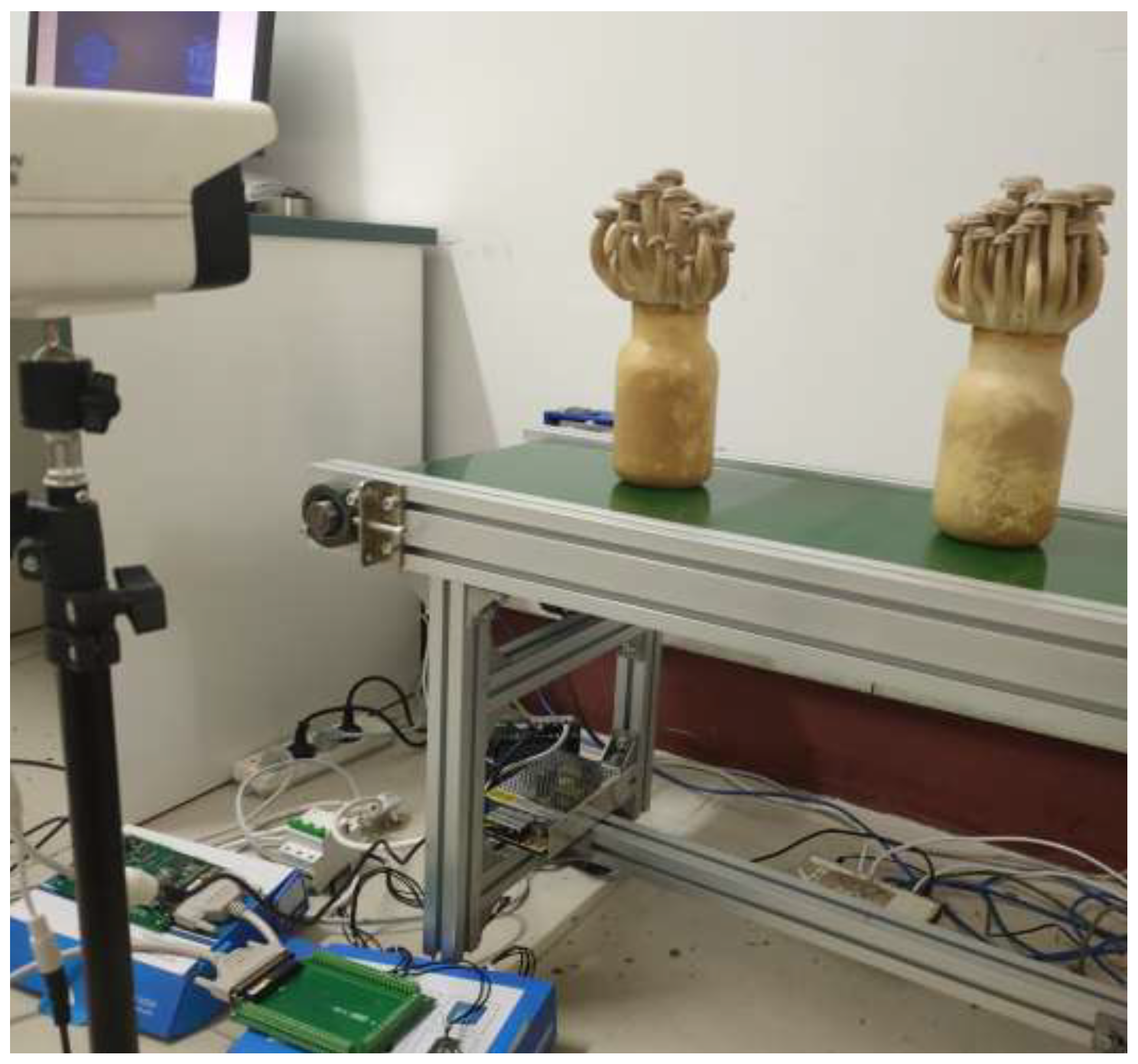 Agronomy 12 02601 g010