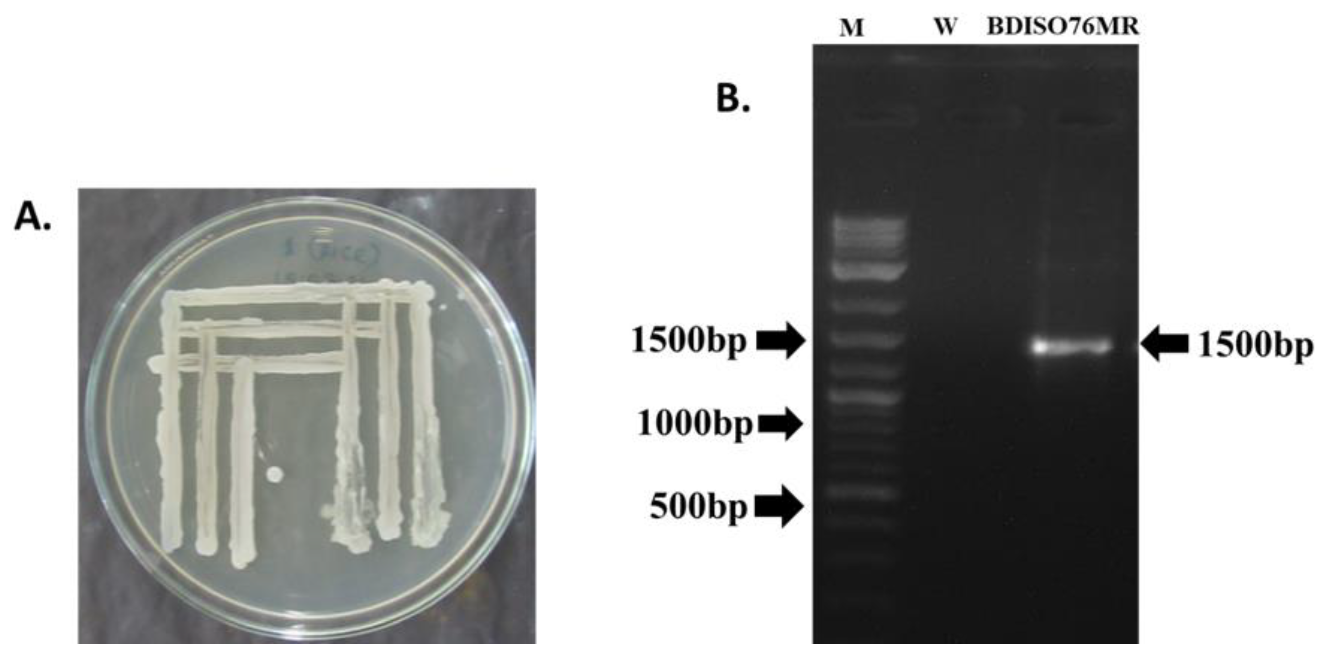 Agronomy 12 02608 g002 Agronomy 12 02608 g002