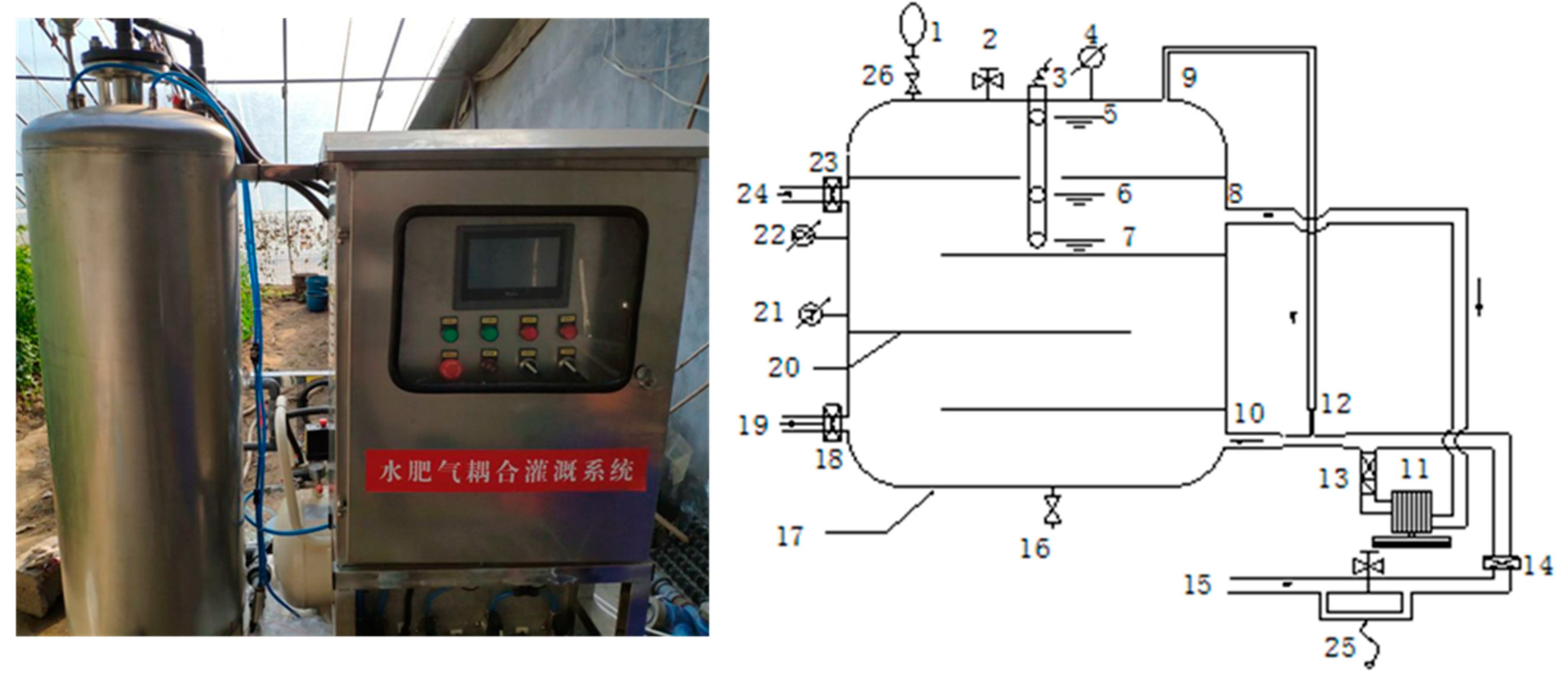 Agronomy 12 02609 g001
