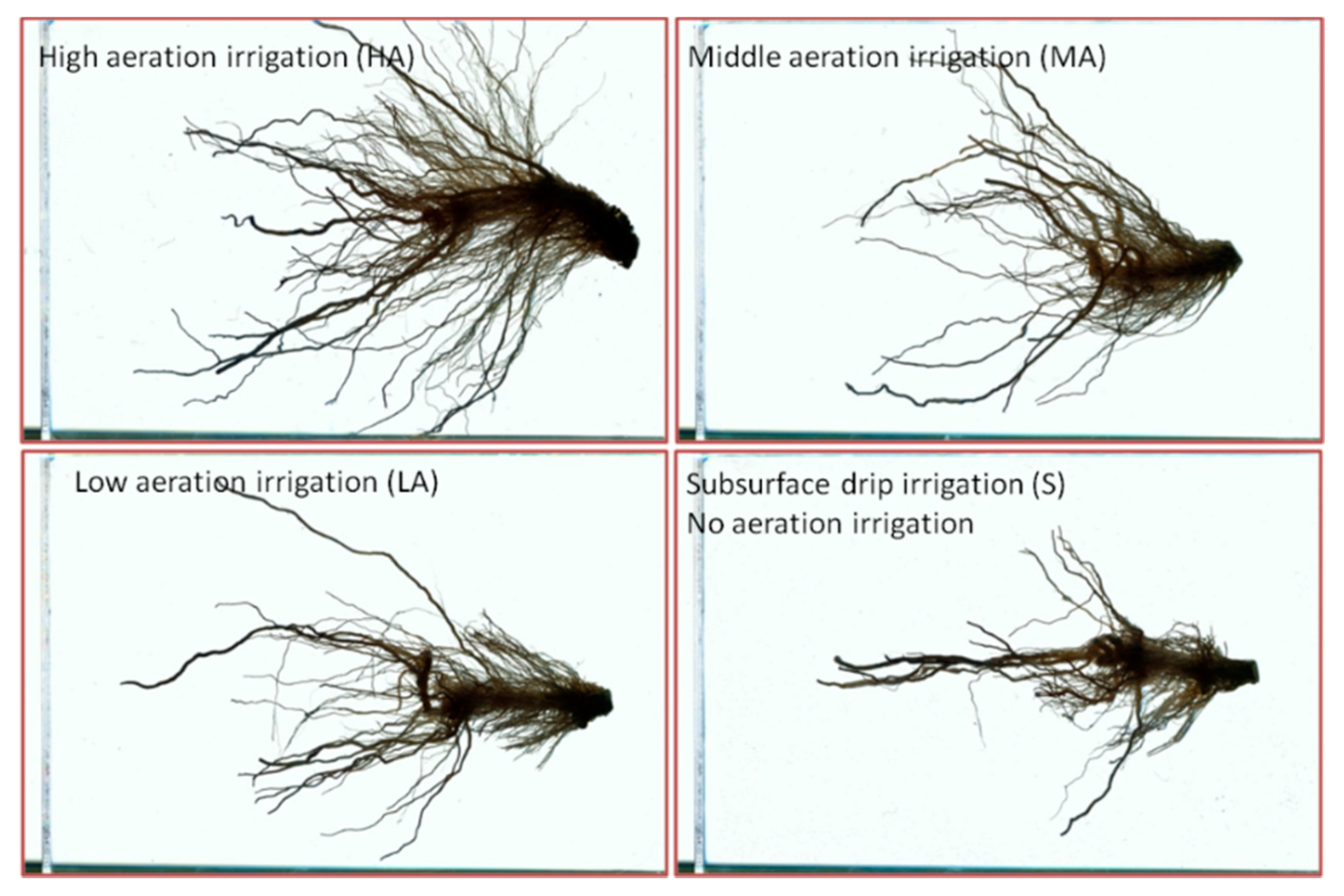 Agronomy 12 02609 g002
