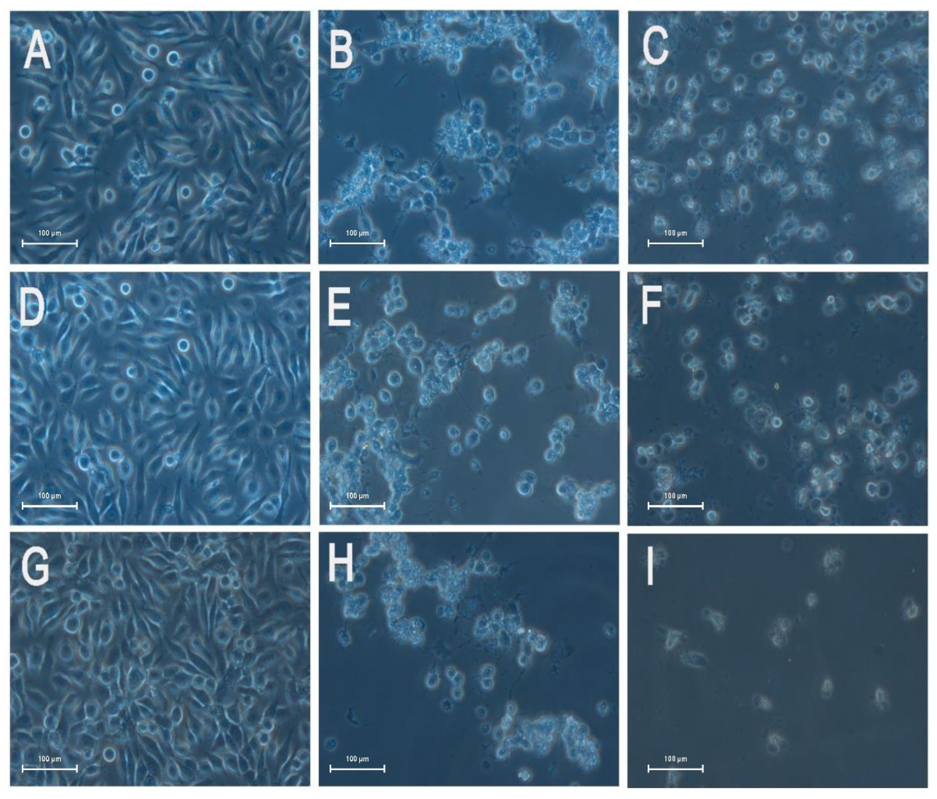 Agronomy 12 02611 g001 Agronomy 12 02611 g001