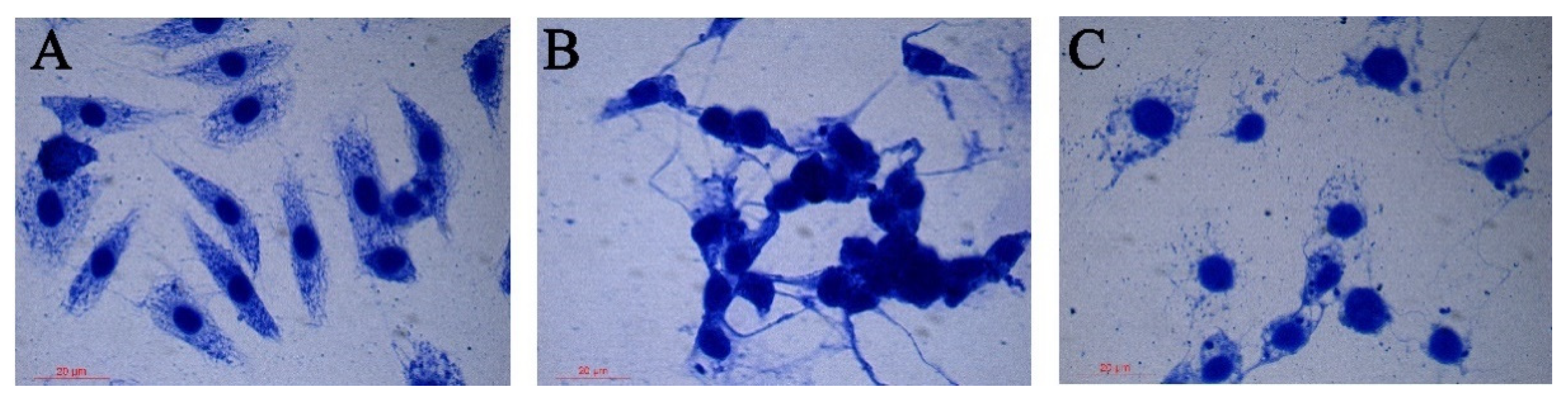 Agronomy 12 02611 g004 Agronomy 12 02611 g004