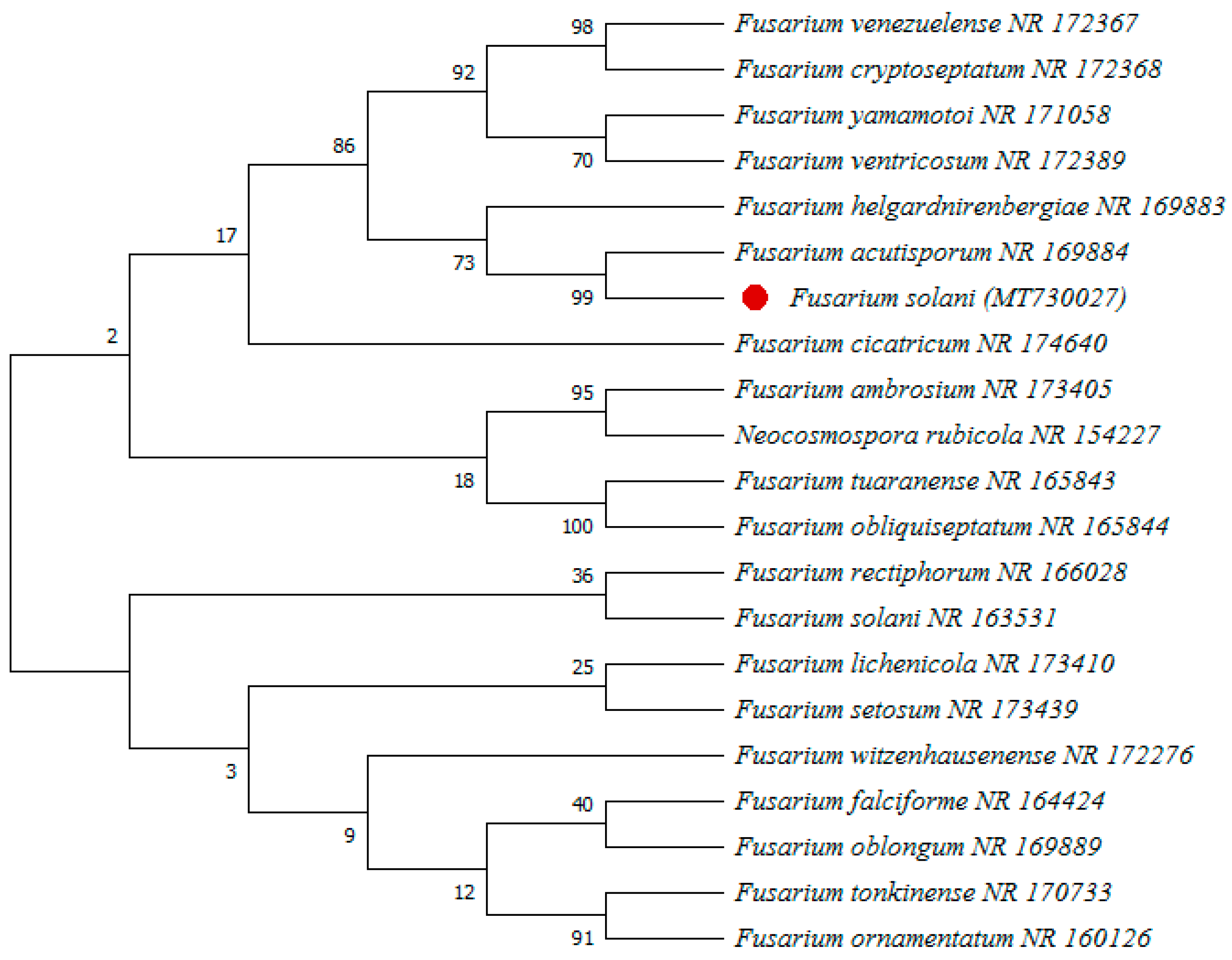 Agronomy 12 02612 g002