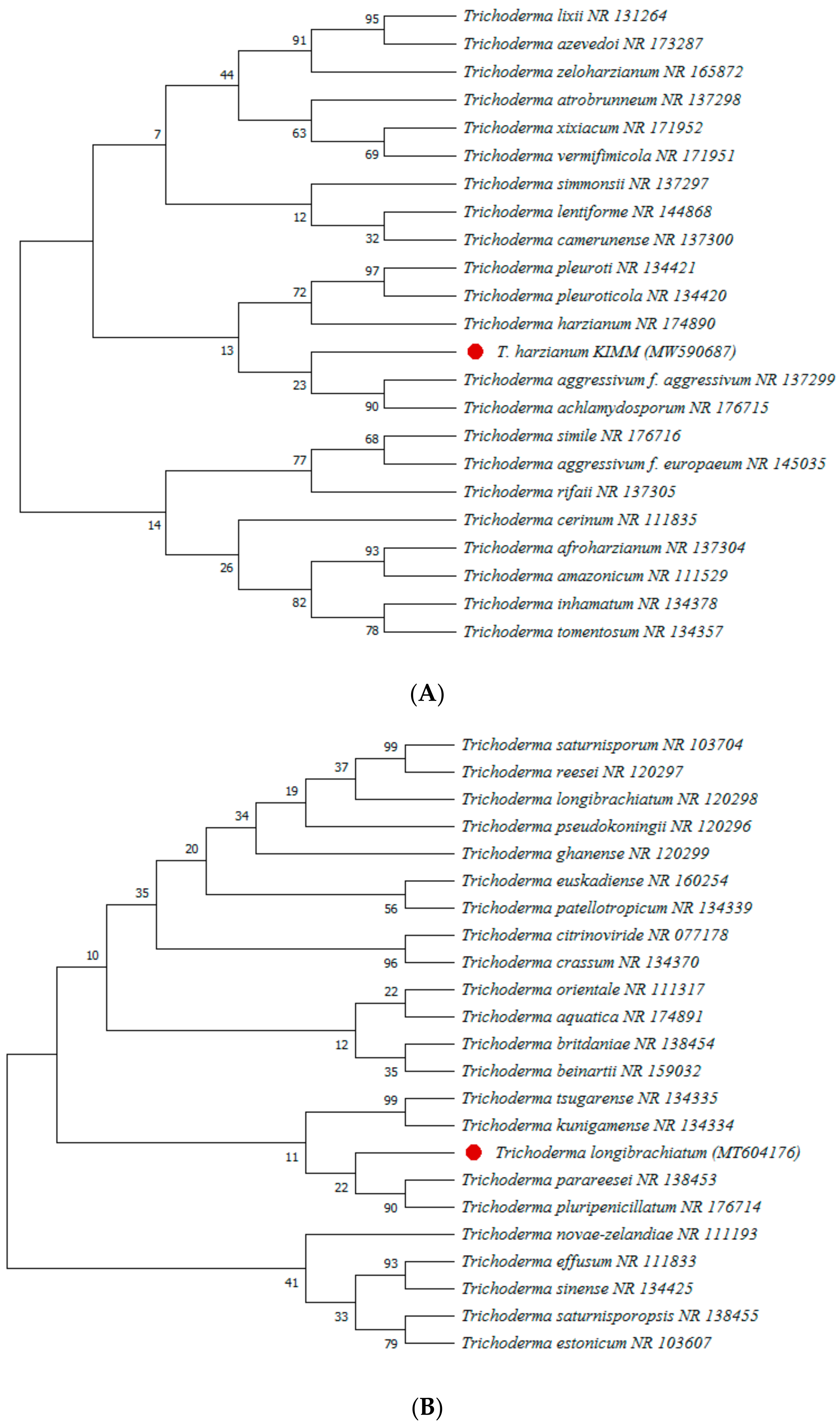 Agronomy 12 02612 g005a
