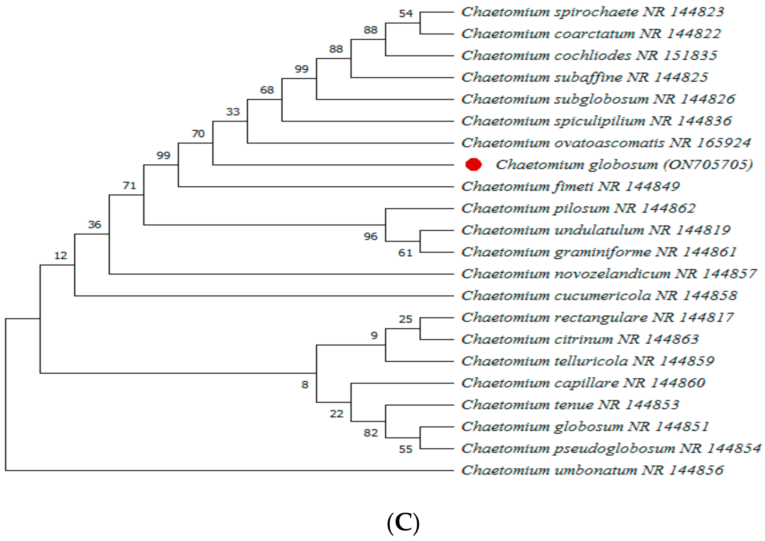 Agronomy 12 02612 g005b