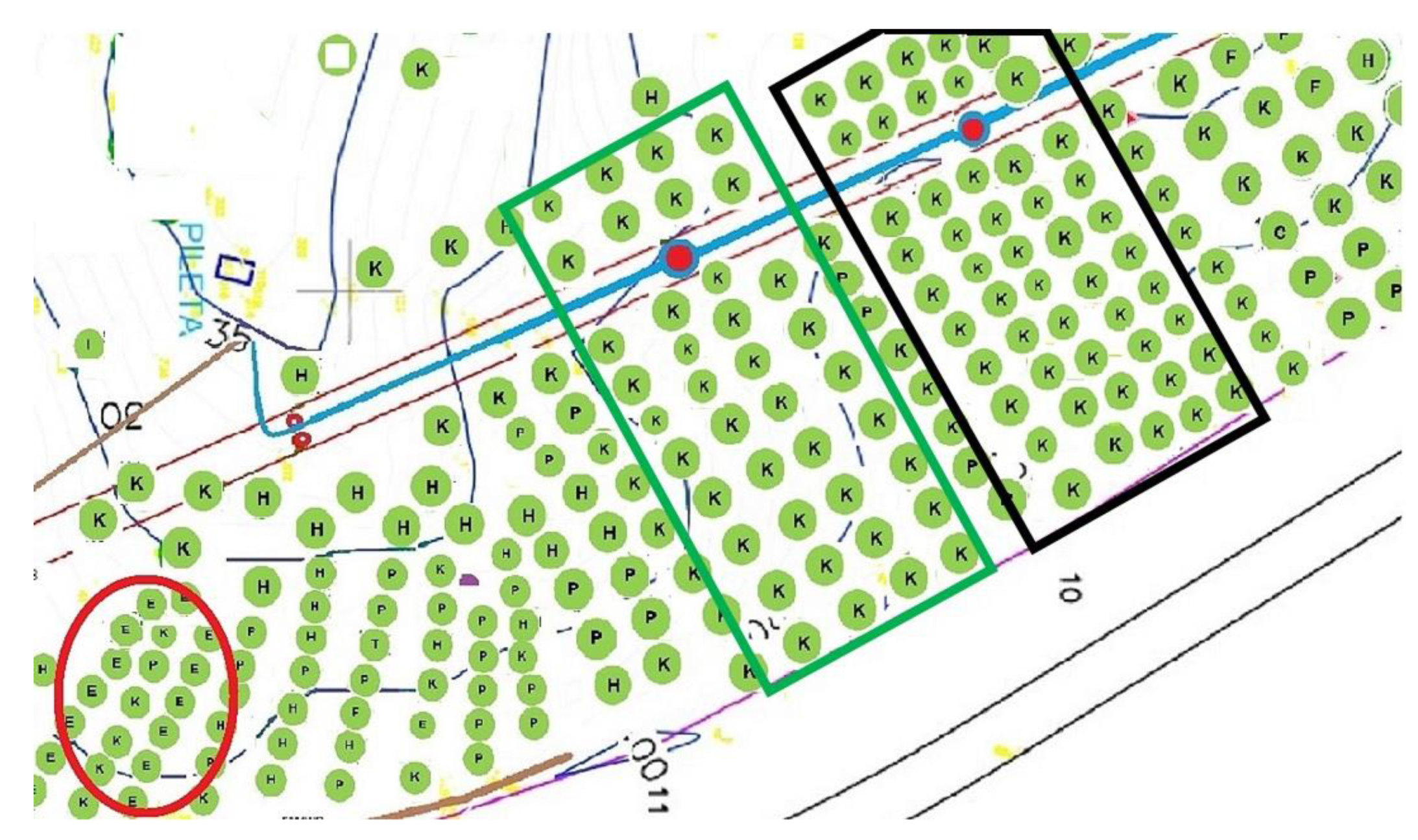 Agronomy 12 02623 g001