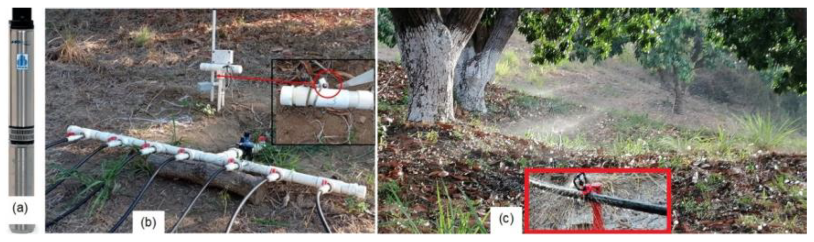 Agronomy 12 02623 g003