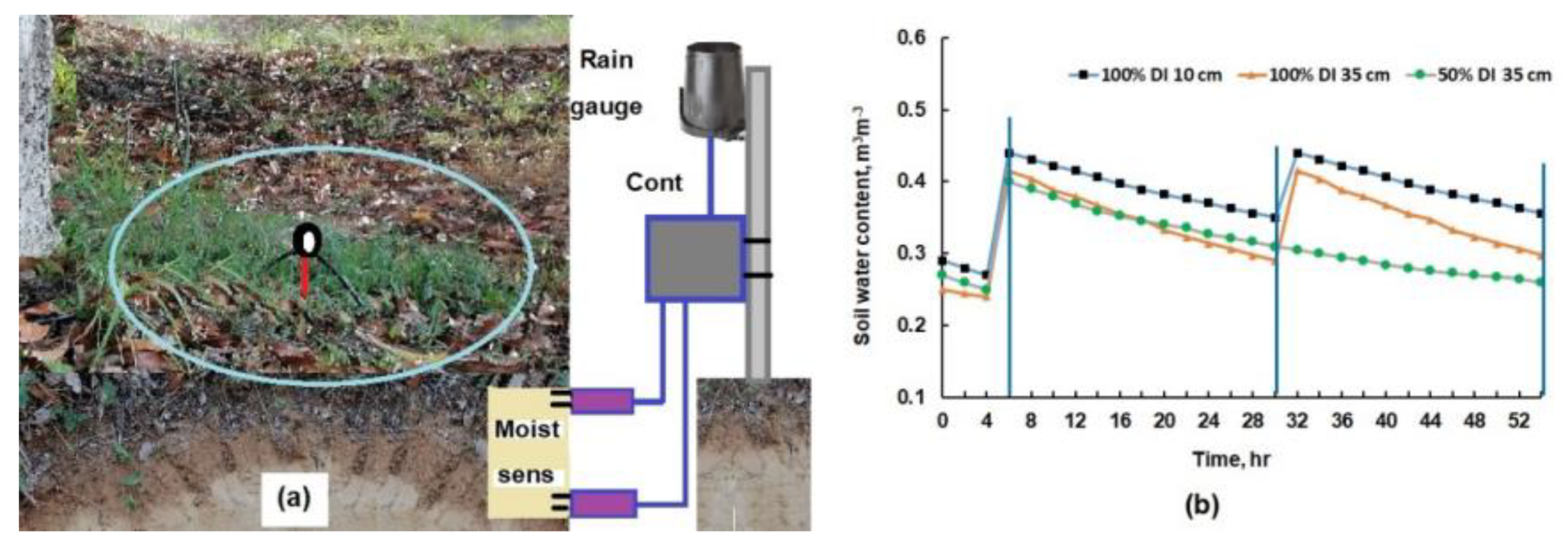 Agronomy 12 02623 g006