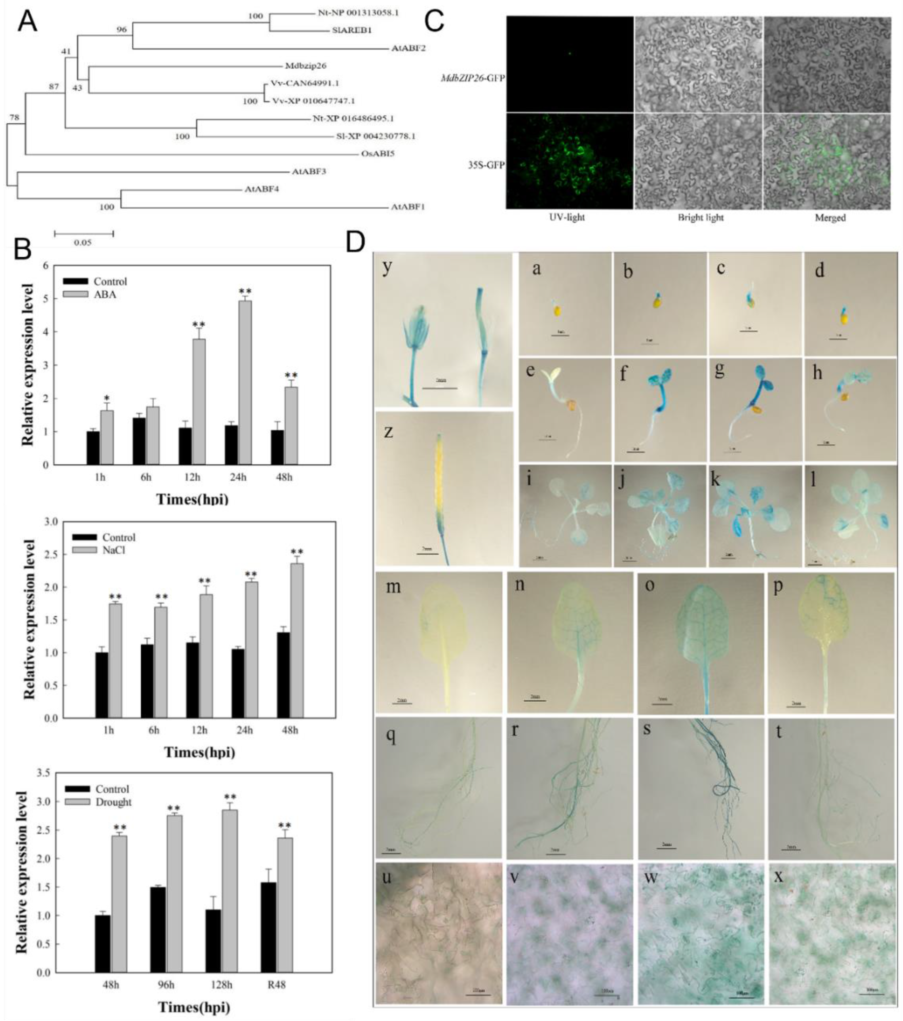 Agronomy 12 02624 g001 Agronomy 12 02624 g001