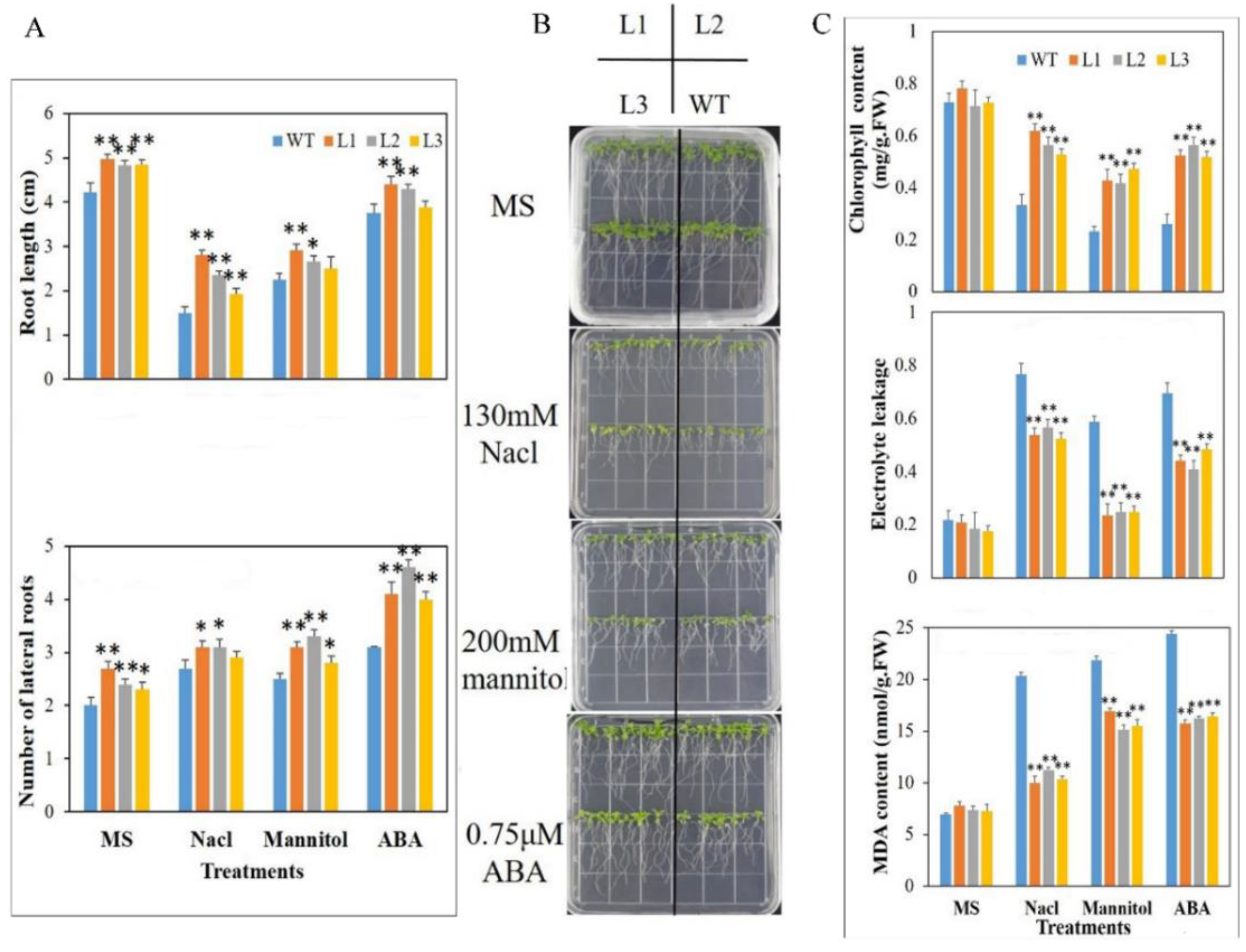 Agronomy 12 02624 g003 Agronomy 12 02624 g003