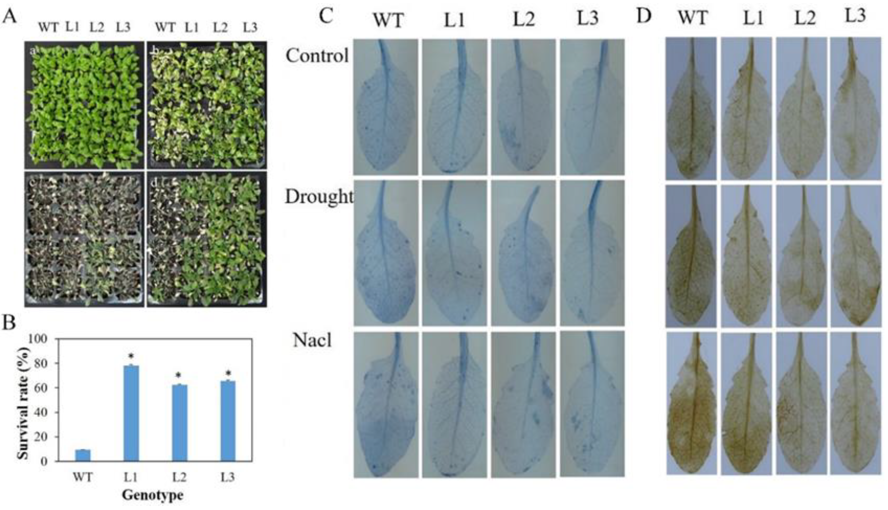 Agronomy 12 02624 g004 Agronomy 12 02624 g004