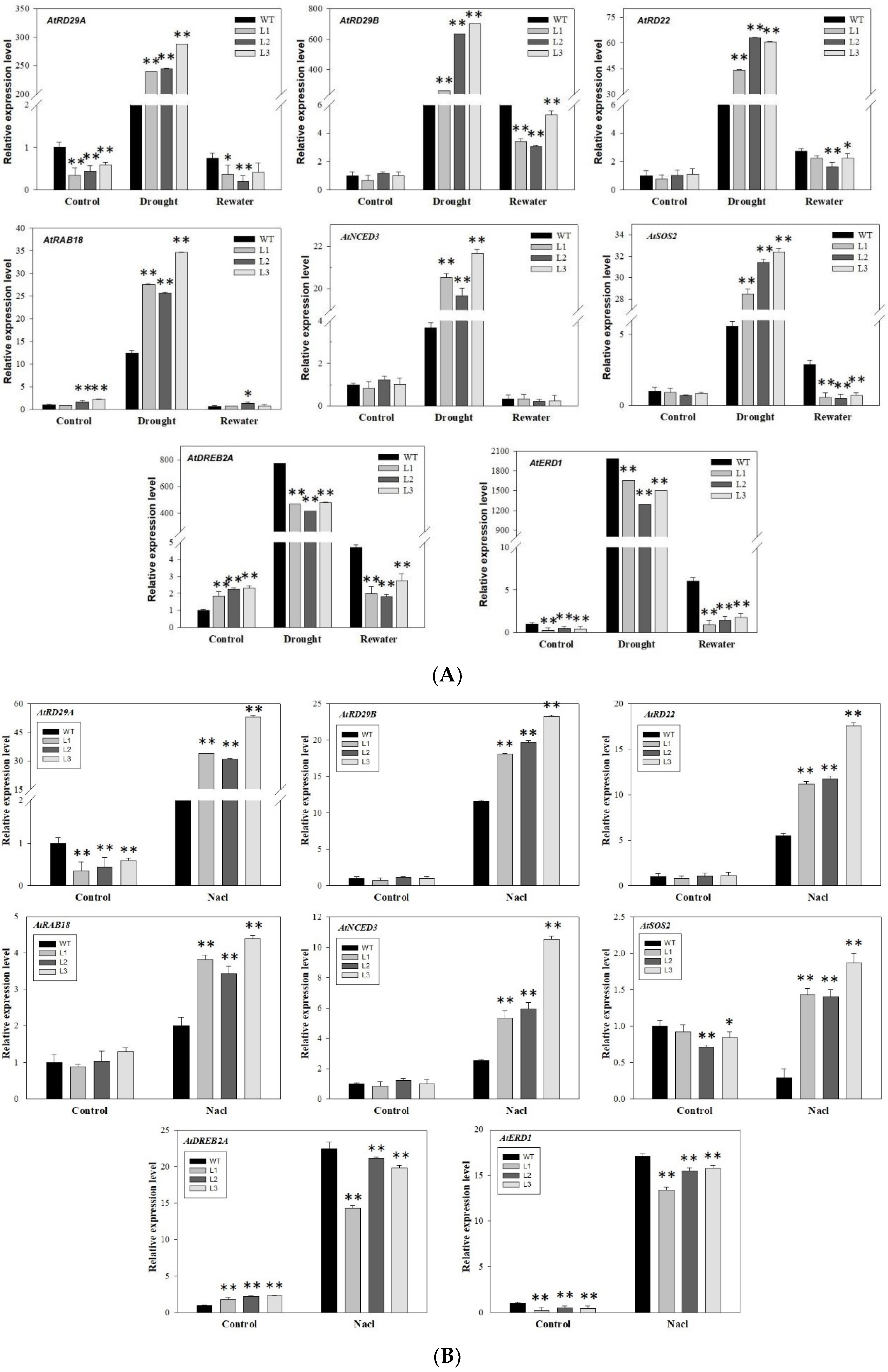 Agronomy 12 02624 g007 Agronomy 12 02624 g007