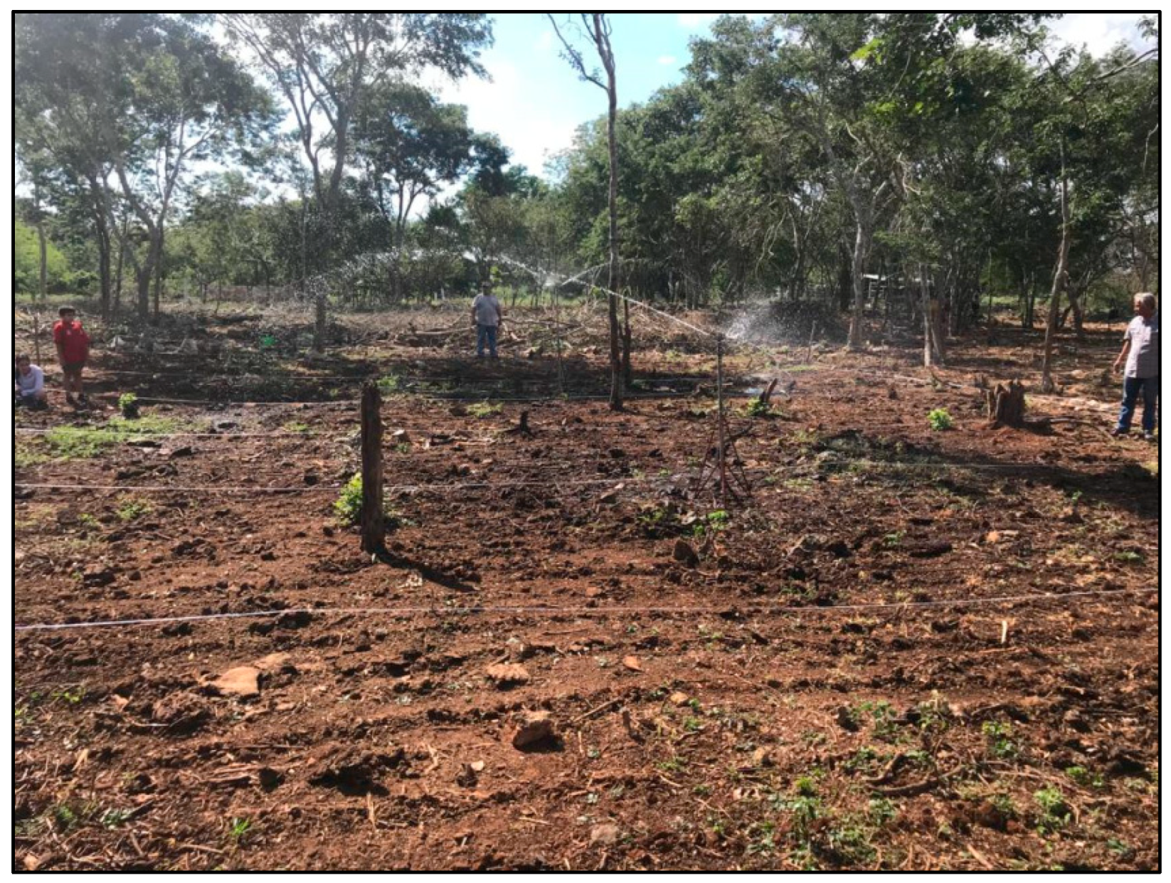 Agronomy 12 02634 g0a10 Agronomy 12 02634 g0a10