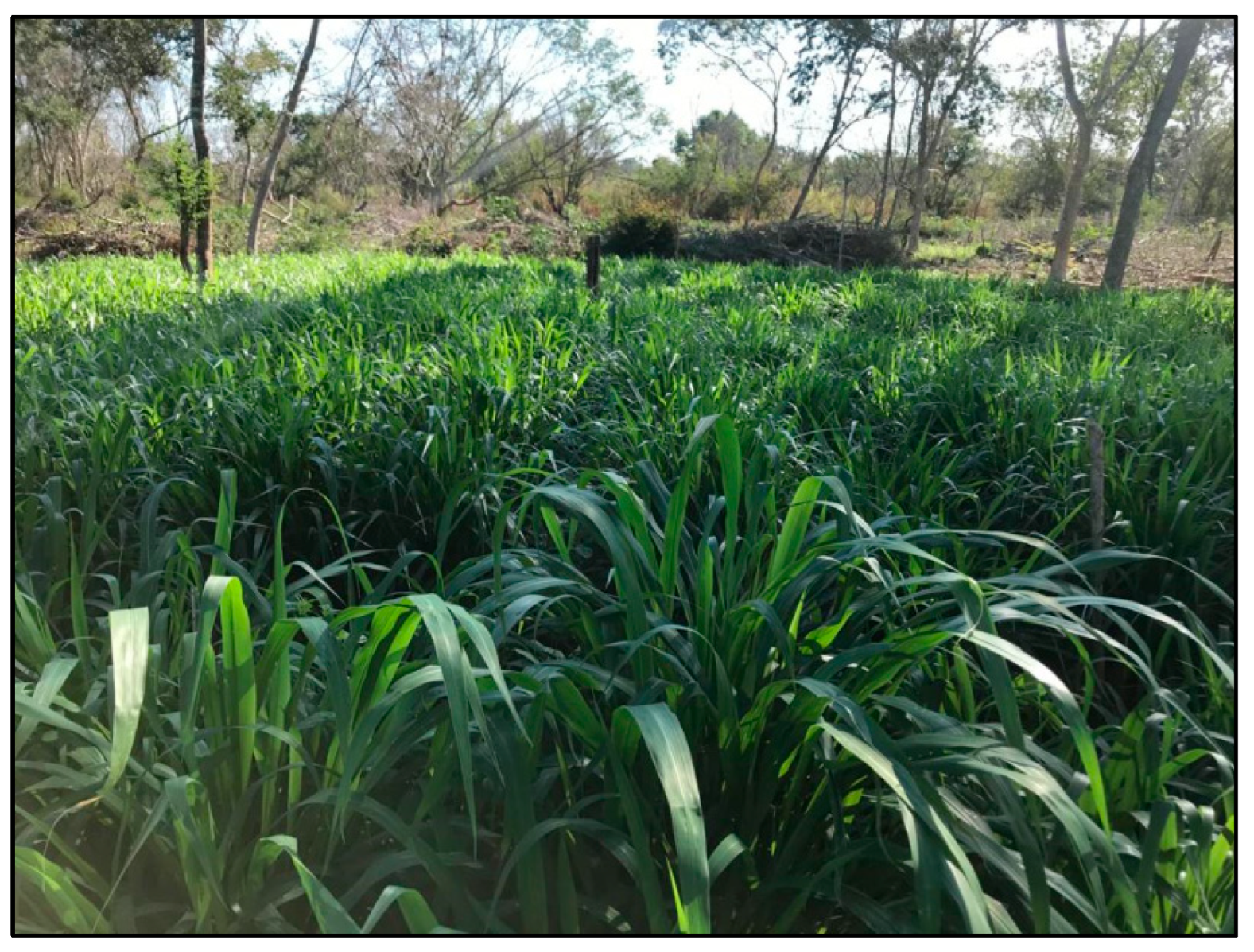 Agronomy 12 02634 g0a12 Agronomy 12 02634 g0a12