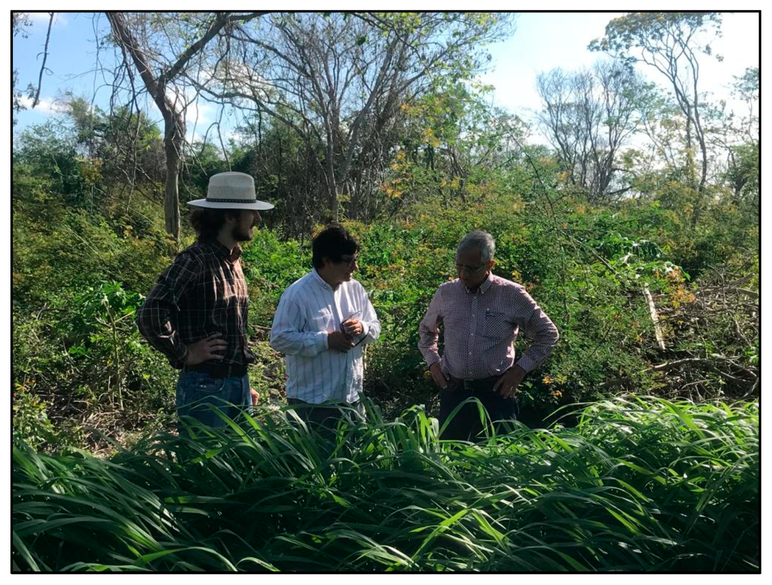 Agronomy 12 02634 g0a14 Agronomy 12 02634 g0a14