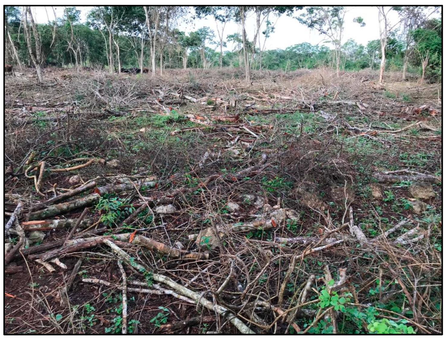 Agronomy 12 02634 g0a3 Agronomy 12 02634 g0a3