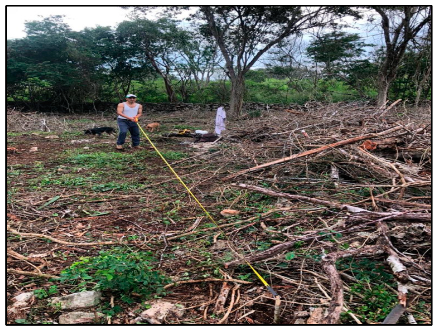 Agronomy 12 02634 g0a5 Agronomy 12 02634 g0a5