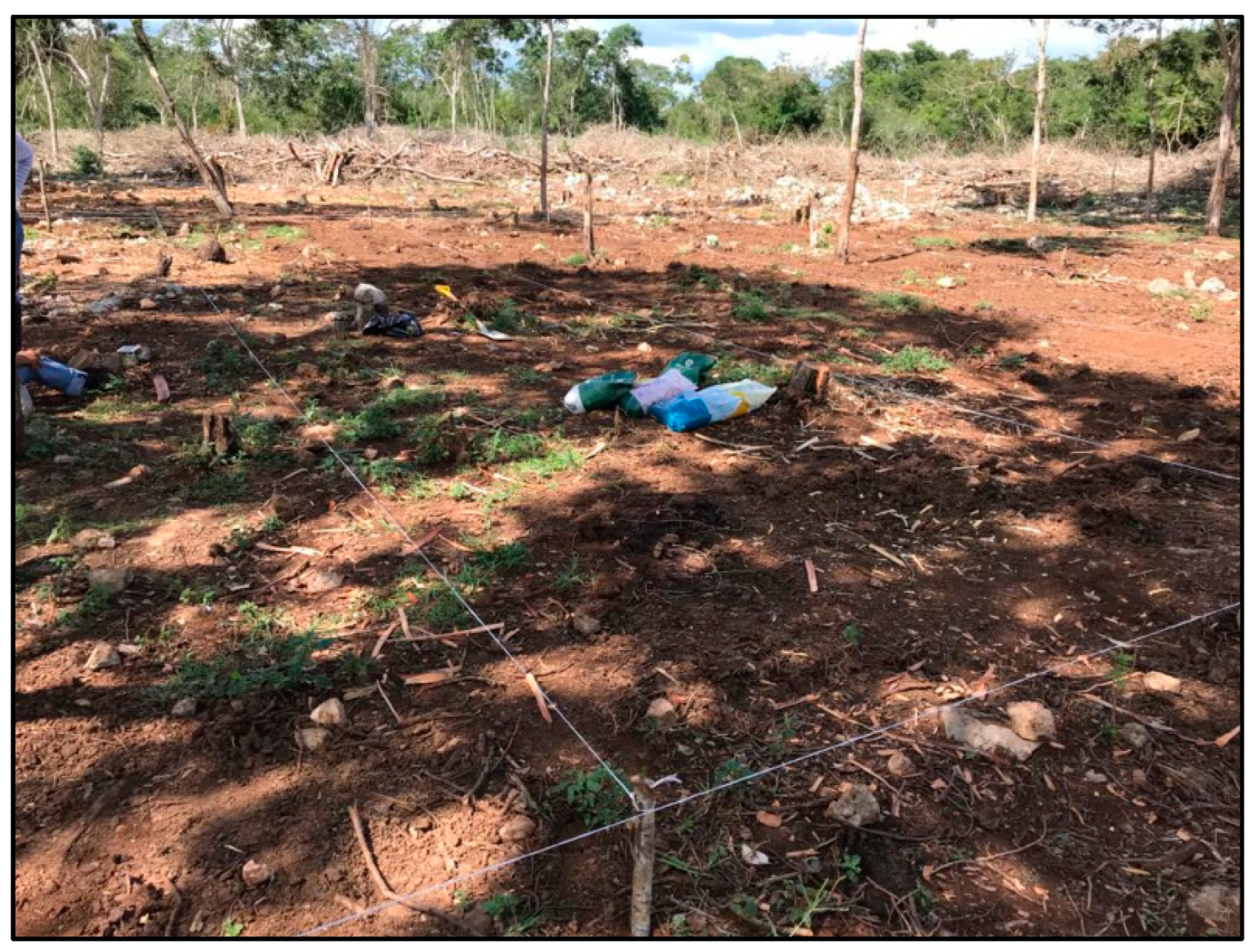 Agronomy 12 02634 g0a7a Agronomy 12 02634 g0a7a