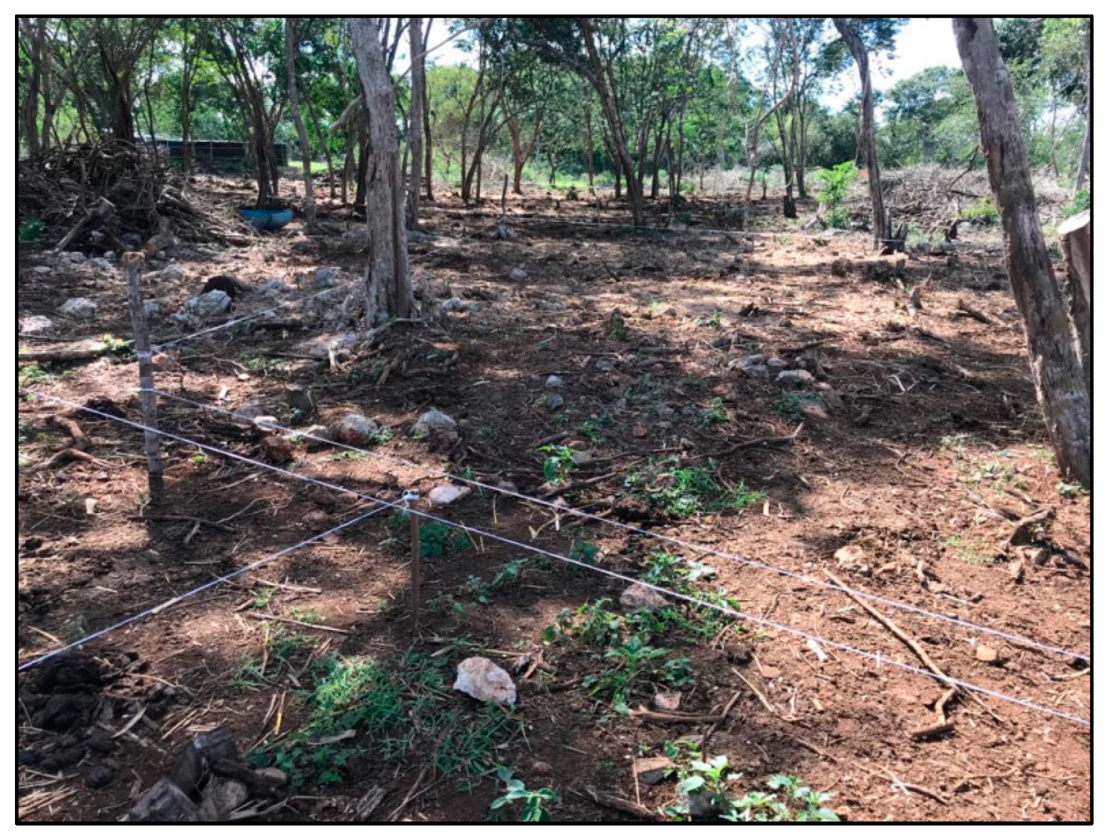 Agronomy 12 02634 g0a7b Agronomy 12 02634 g0a7b