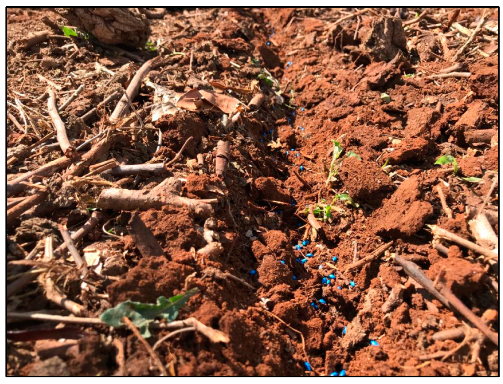 Agronomy 12 02634 g0a9 Agronomy 12 02634 g0a9