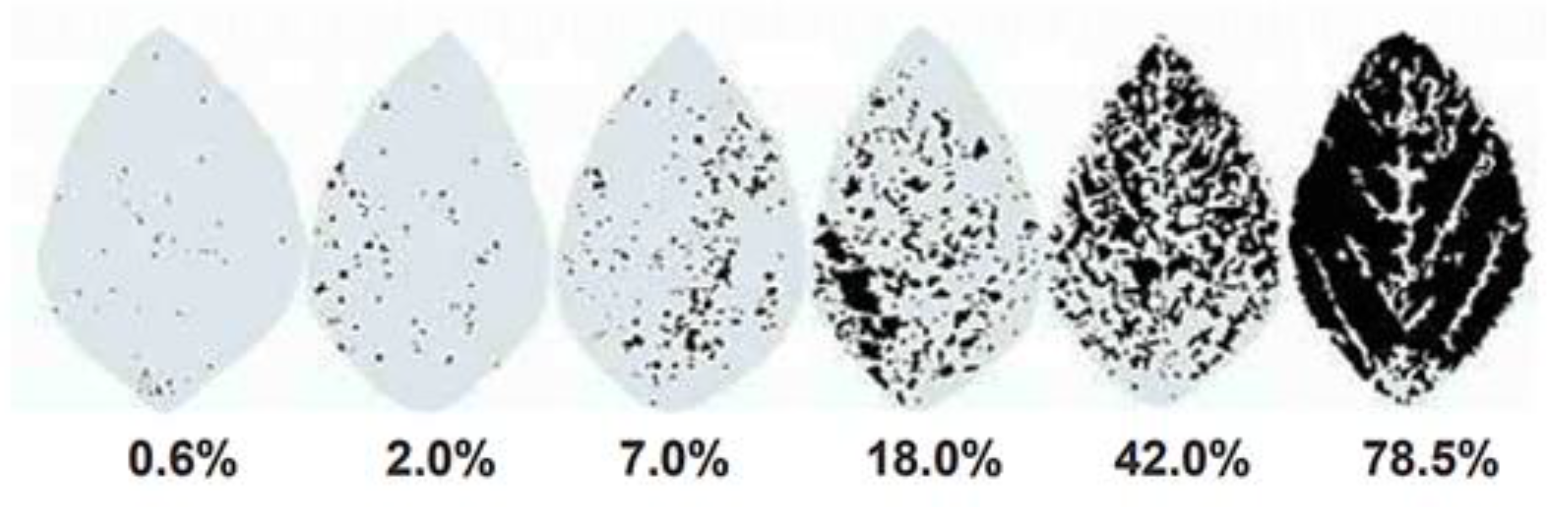 Agronomy 12 02635 g001 Agronomy 12 02635 g001