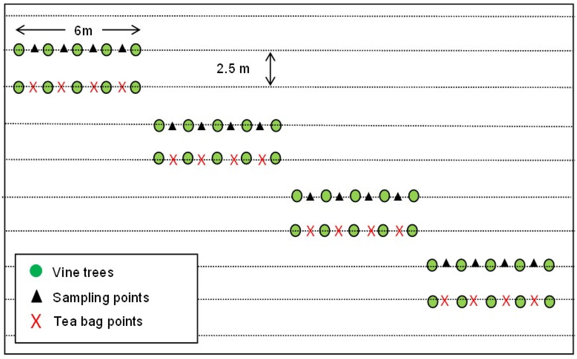 Agronomy 12 02643 g002 Agronomy 12 02643 g002