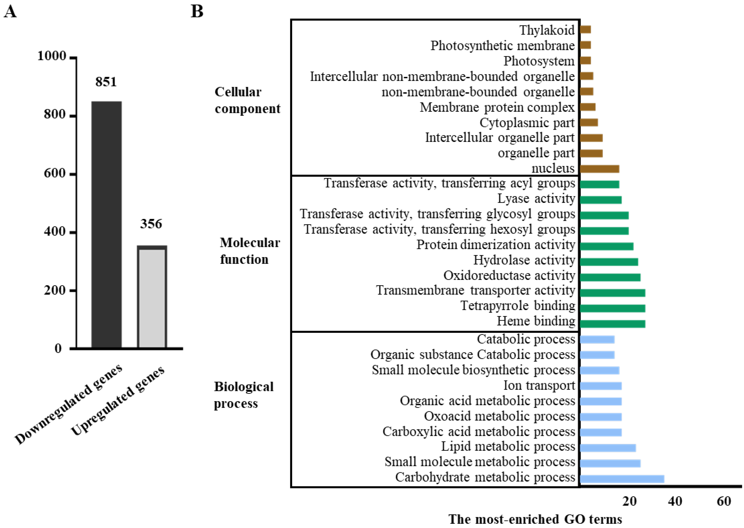 Agronomy 12 02647 g003 Agronomy 12 02647 g003