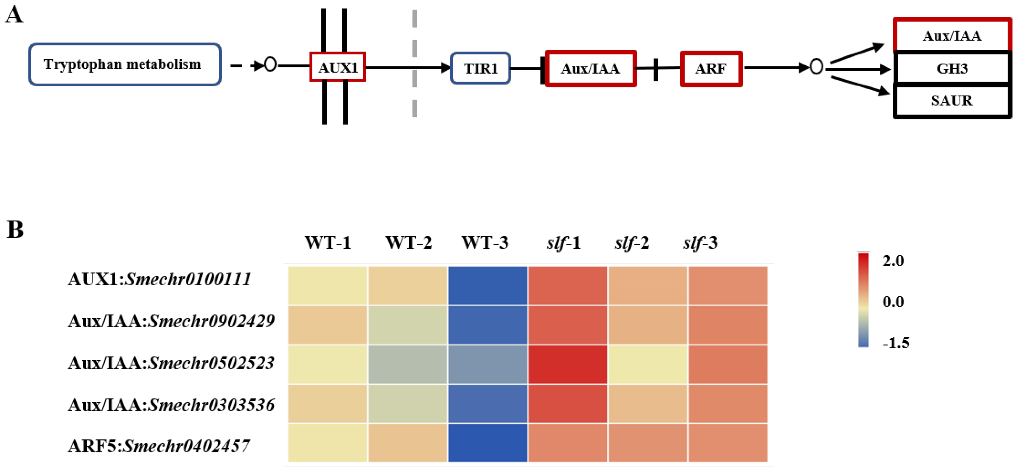 Agronomy 12 02647 g005 Agronomy 12 02647 g005