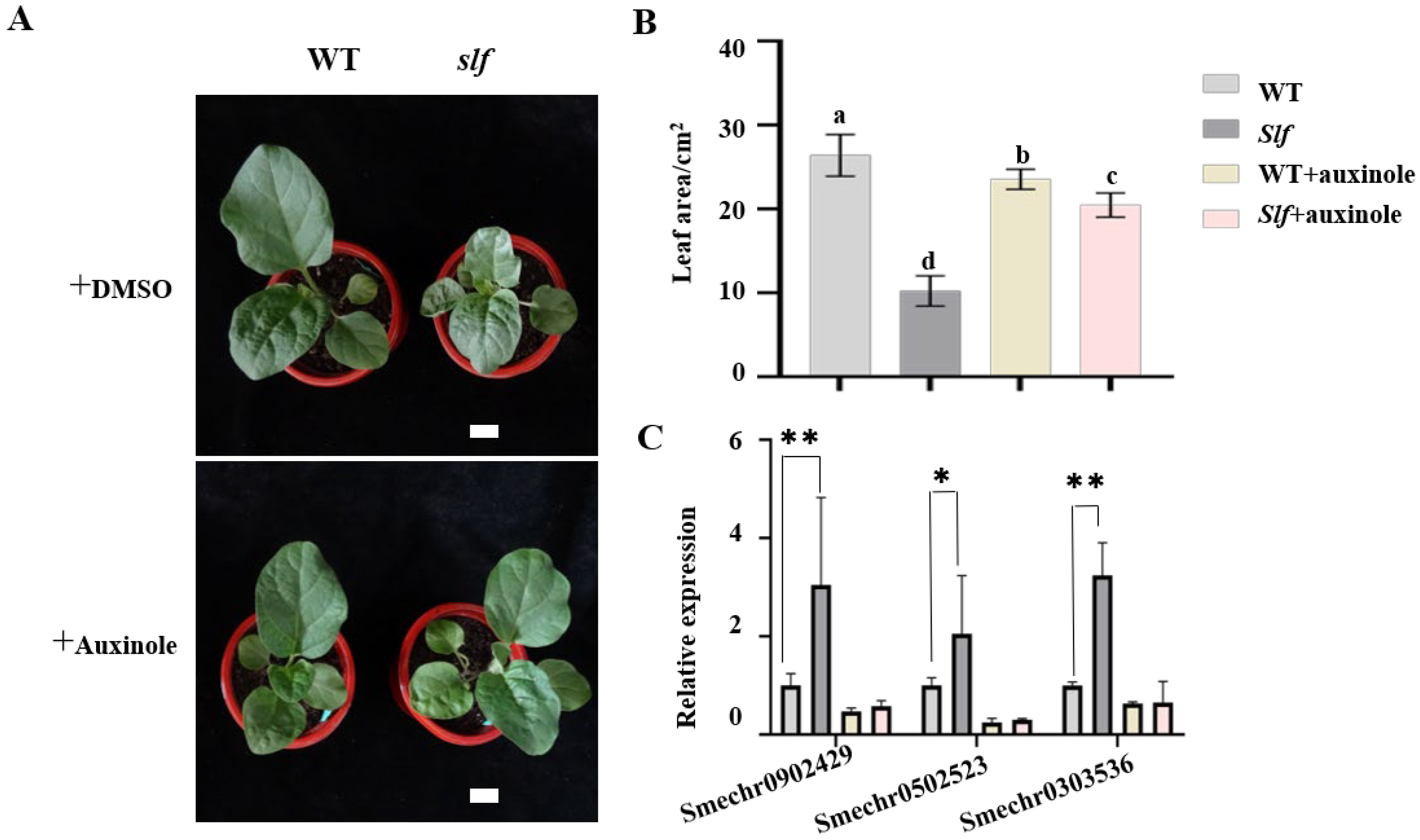 Agronomy 12 02647 g007 Agronomy 12 02647 g007