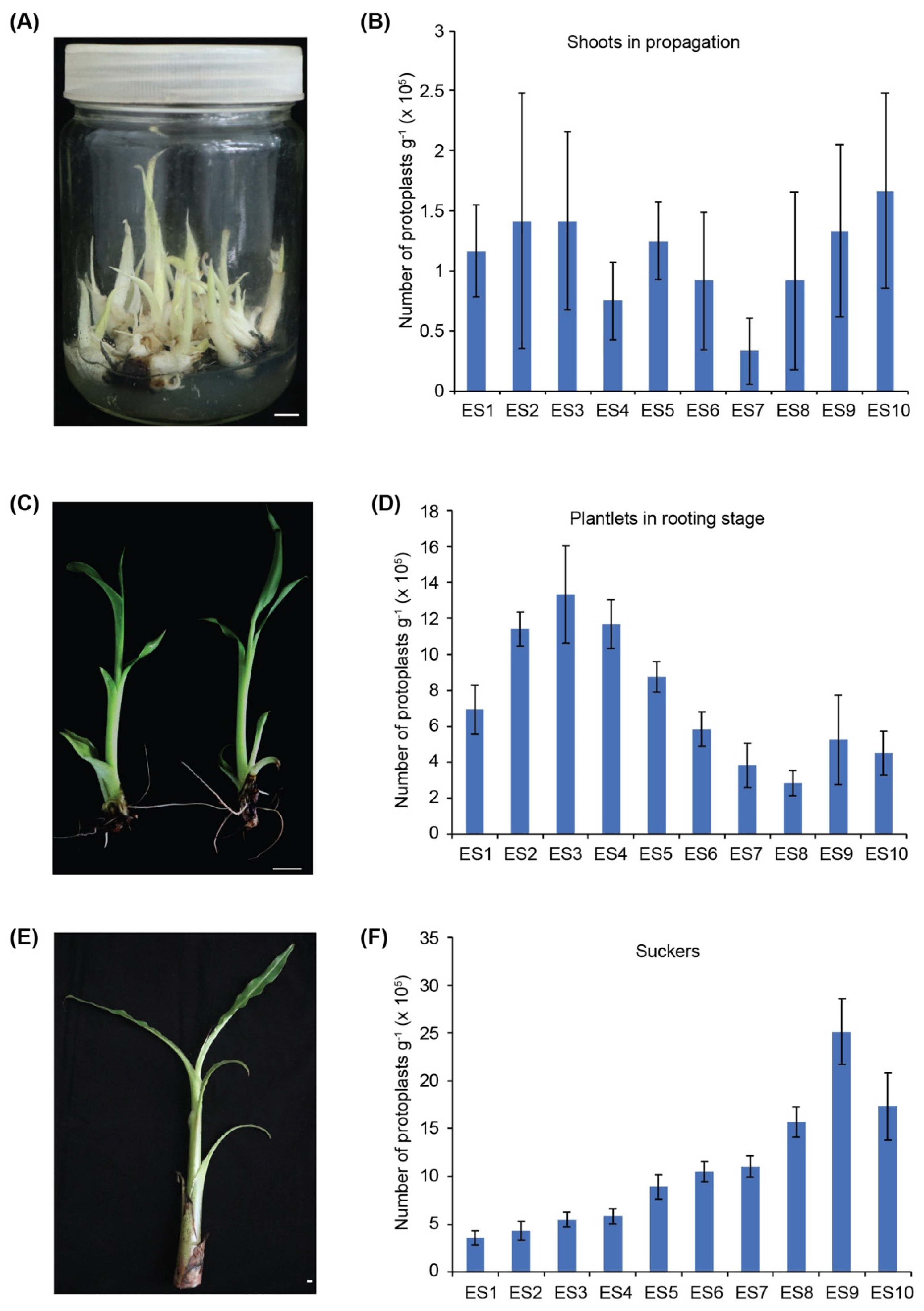 Agronomy 12 02648 g001