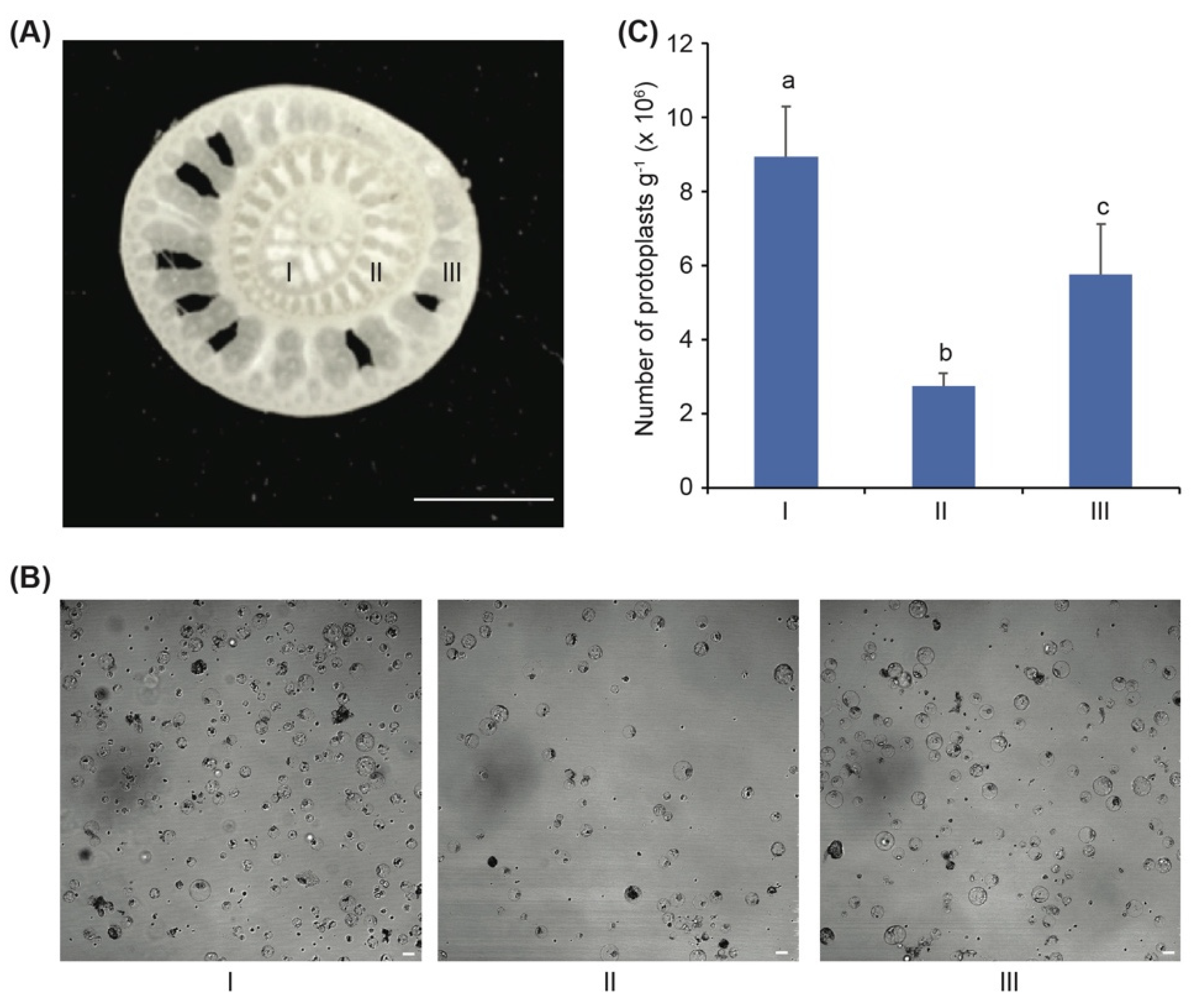 Agronomy 12 02648 g002