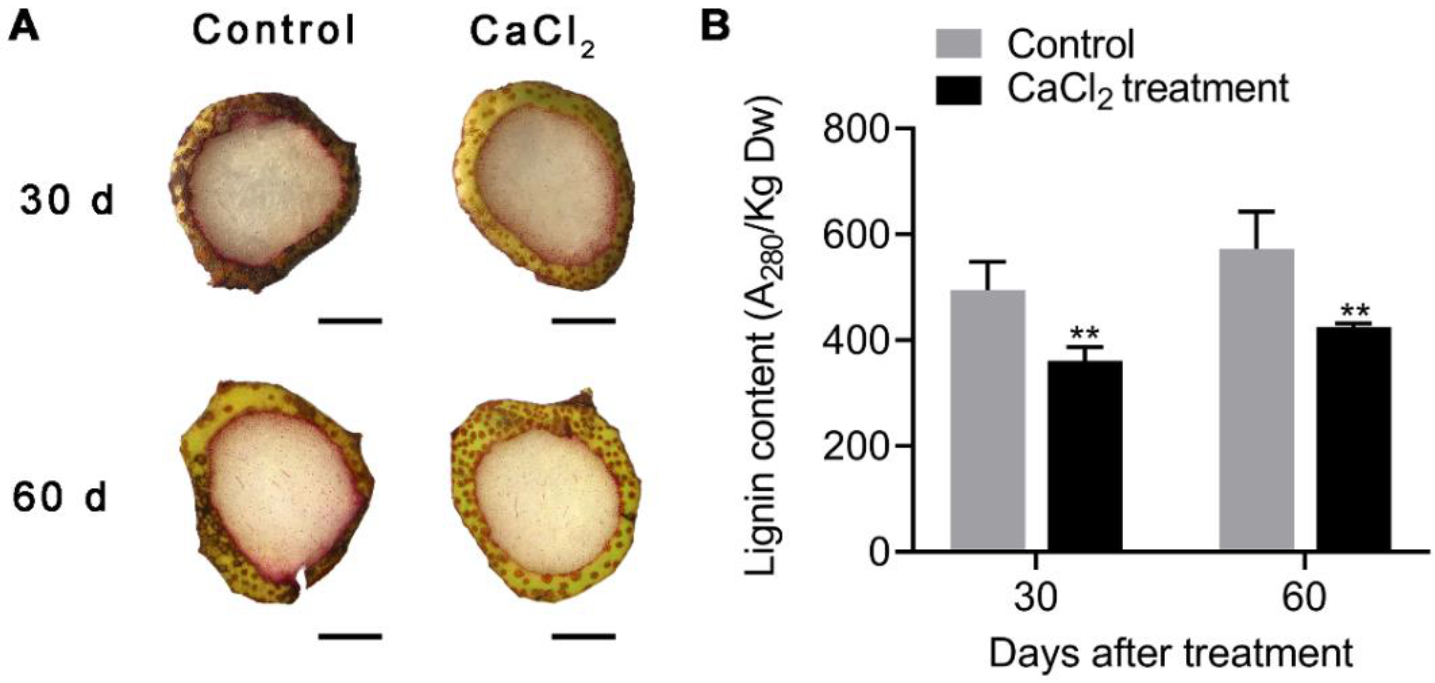 Agronomy 12 02650 g002