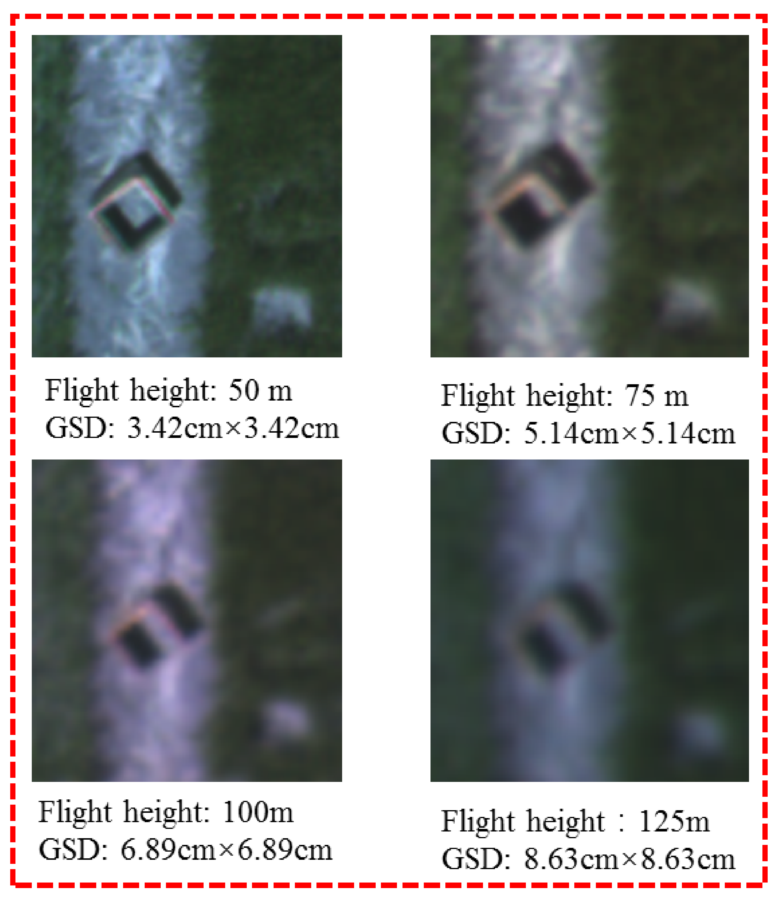 Agronomy 12 02658 g006